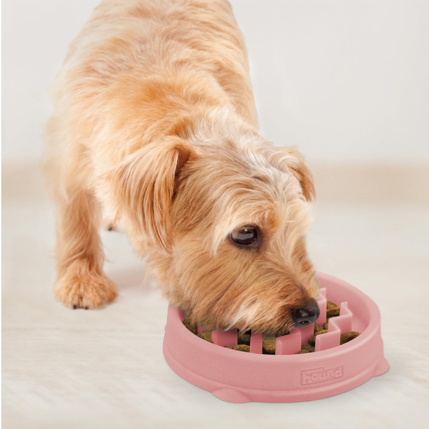 Comedero Antilento Outward Hound Rosa Pequeño para Perro