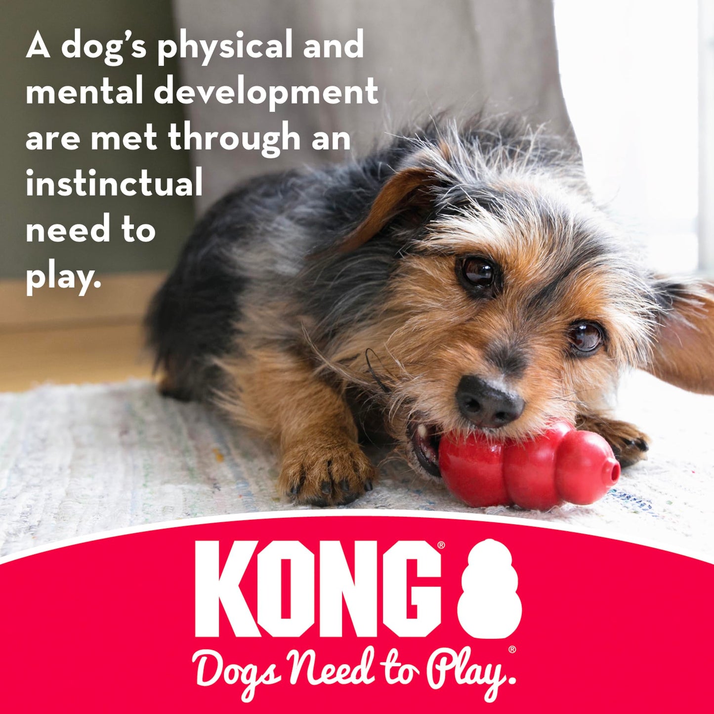 KONG Puppy Teething Stick Dog Toy, Medium, Assorted Pink/Blue