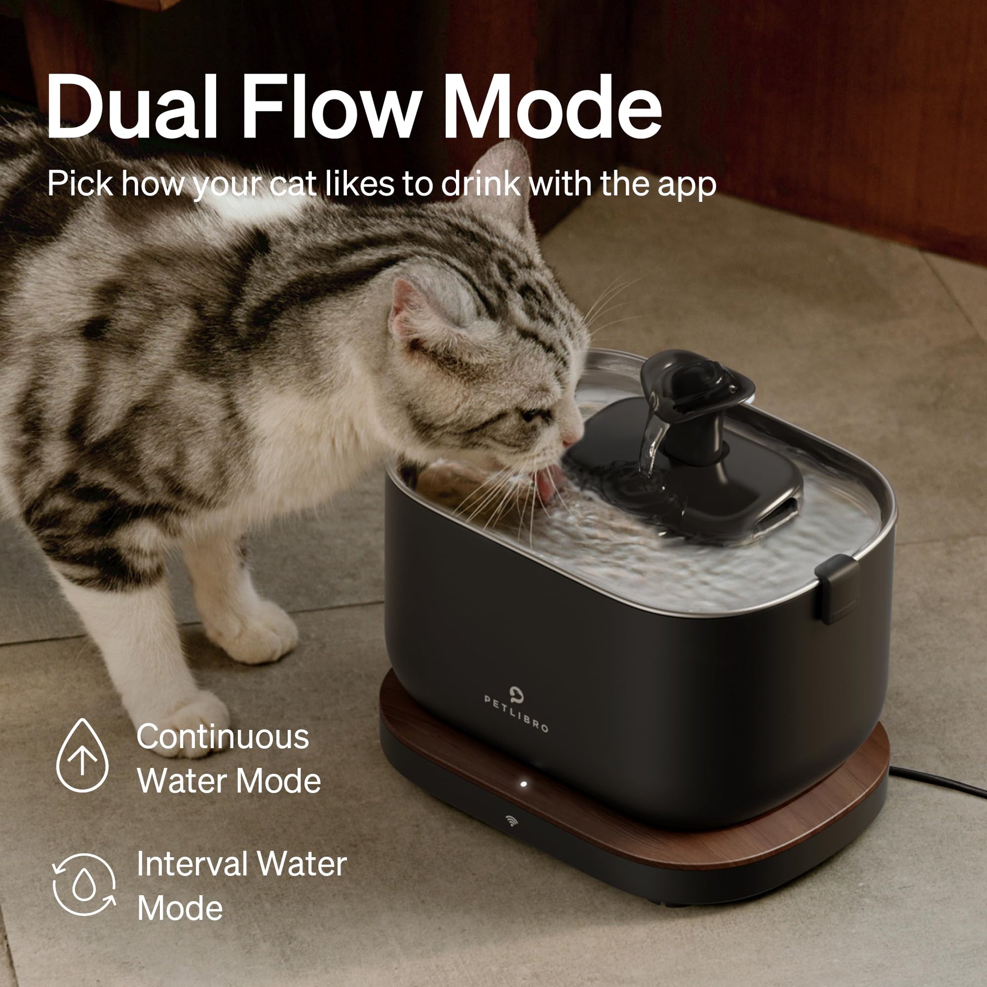 Fuente de Agua Dockstream PETLIBRO Blanco con Bomba Inalámbrica para Gatos en el Interior