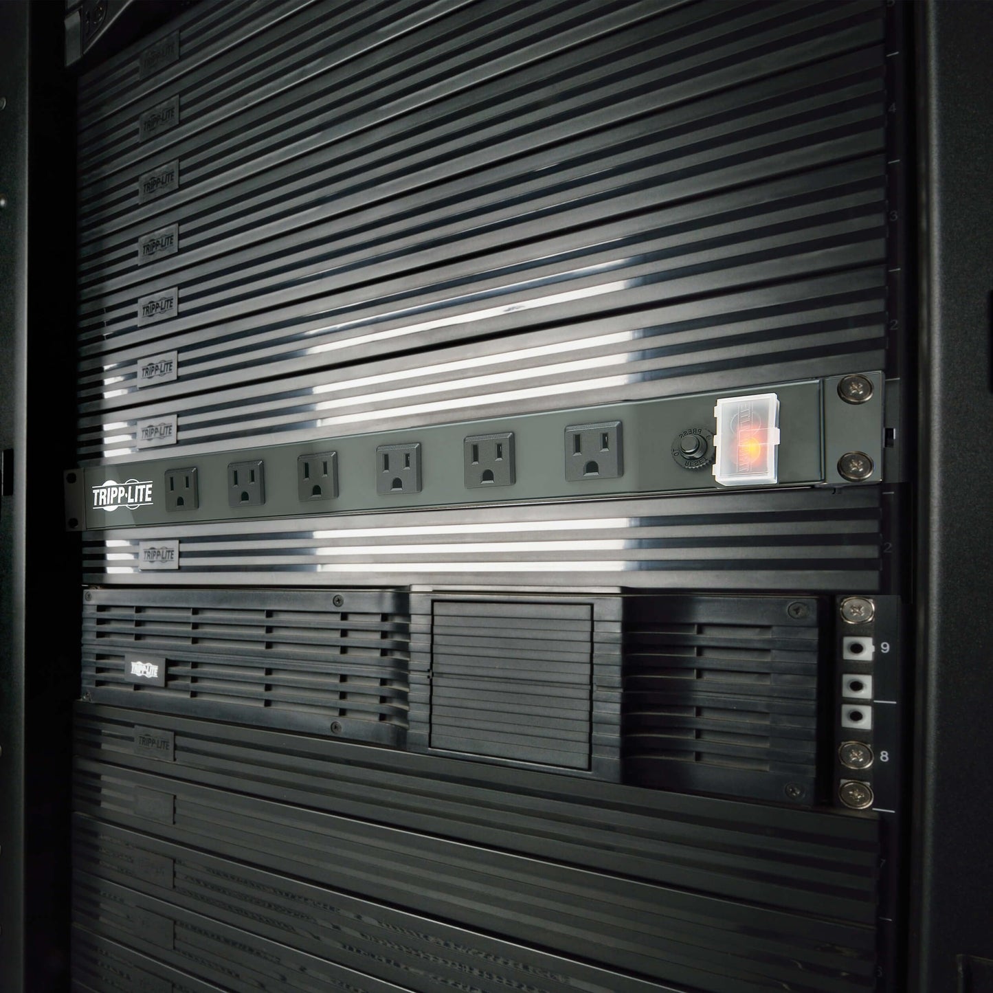 Regleta y Rack Tripp Lite Metal 120V 12 Salidas 1U