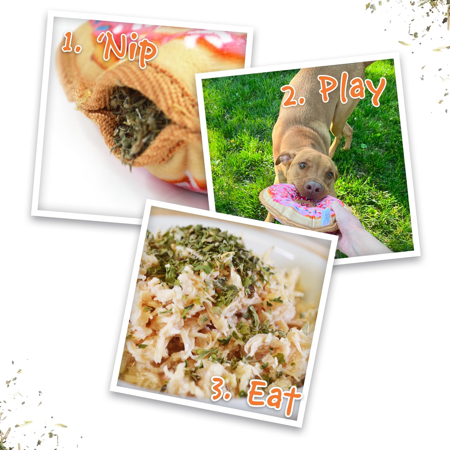 Juguete Interactivo para Perros Doggijuana Rosquilla Recargable con Zacate Gatera Orgánica Calmante Natural