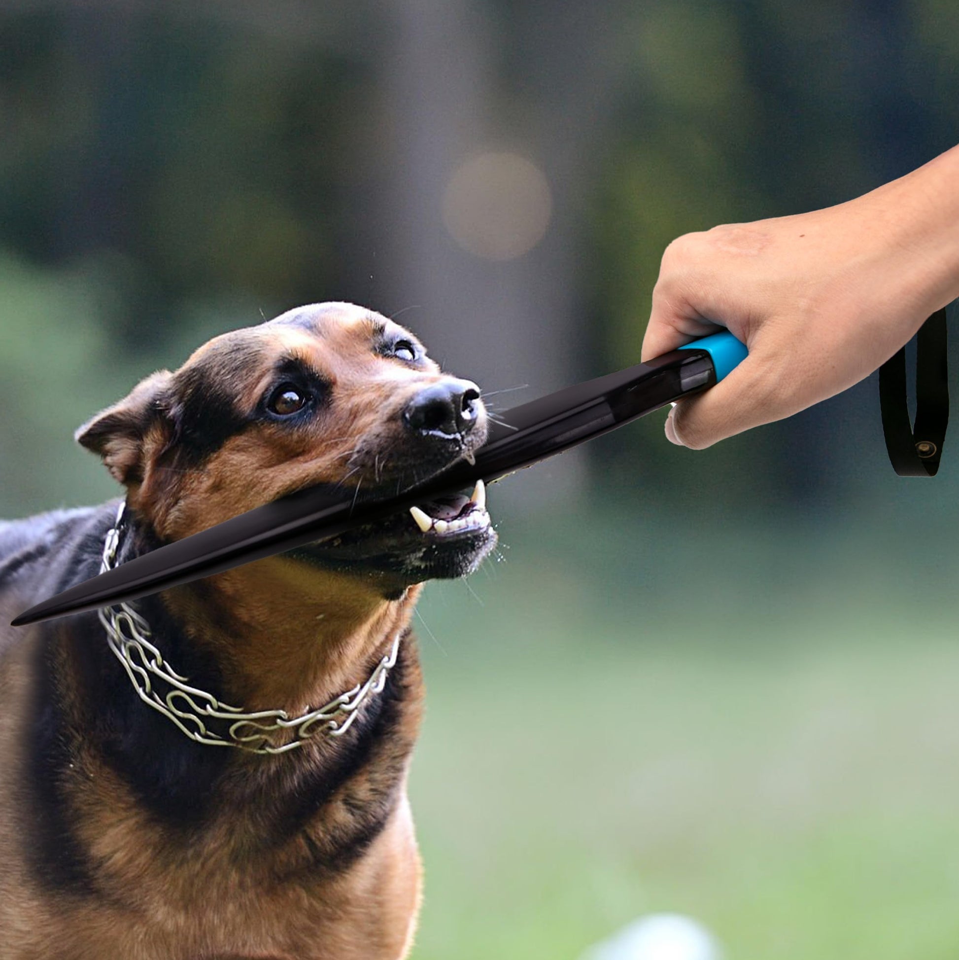 Palos Profesionales para Perros Grandes sin Mordeduras para Entrenamiento K9