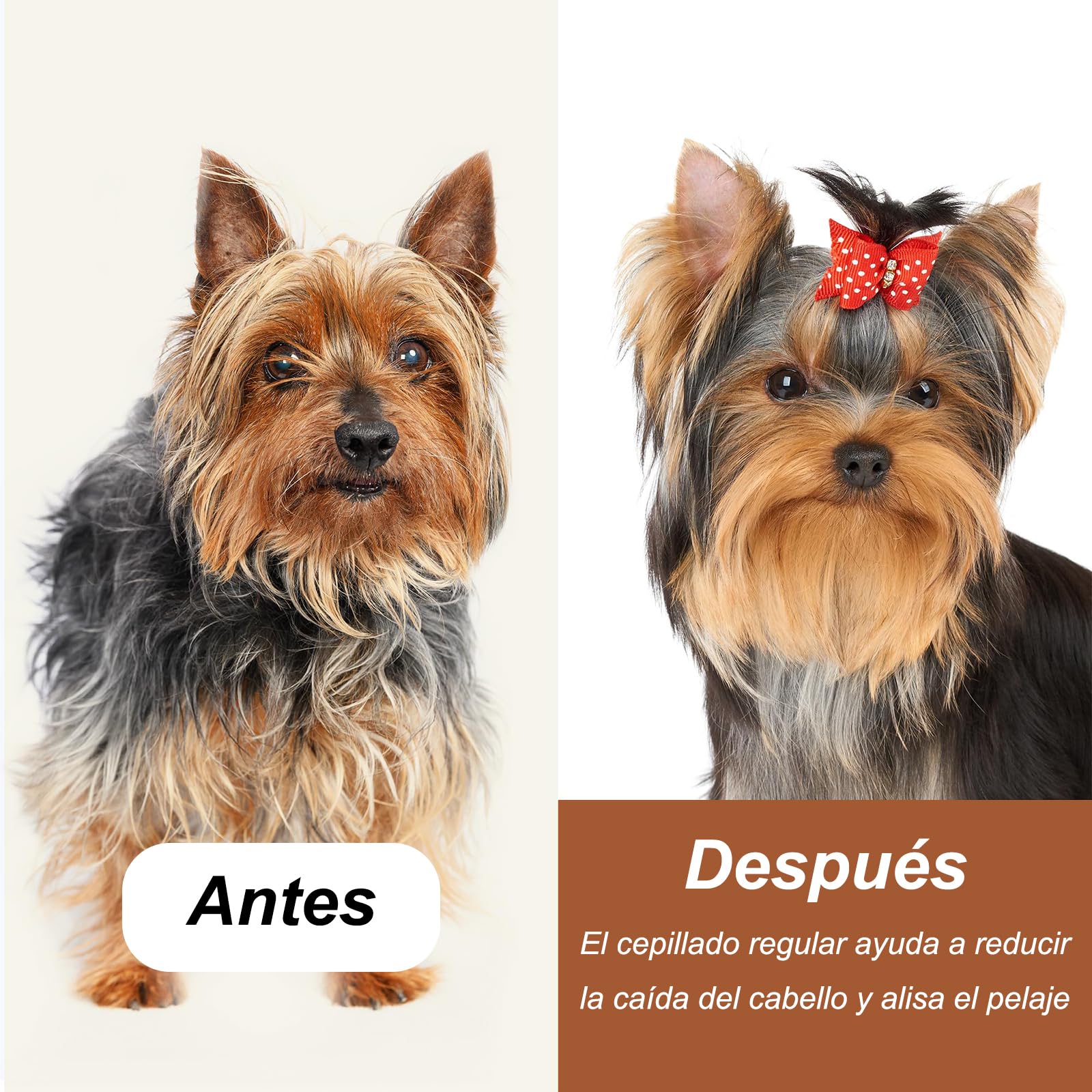 Genérico Cepillo para Perro Pelo Largo 17 mm - Cepillo Mantequilla para Perro Pomerania, Colección Original - Masaje, Baño y Eliminación de Pelo Suelto (1 Unidad)