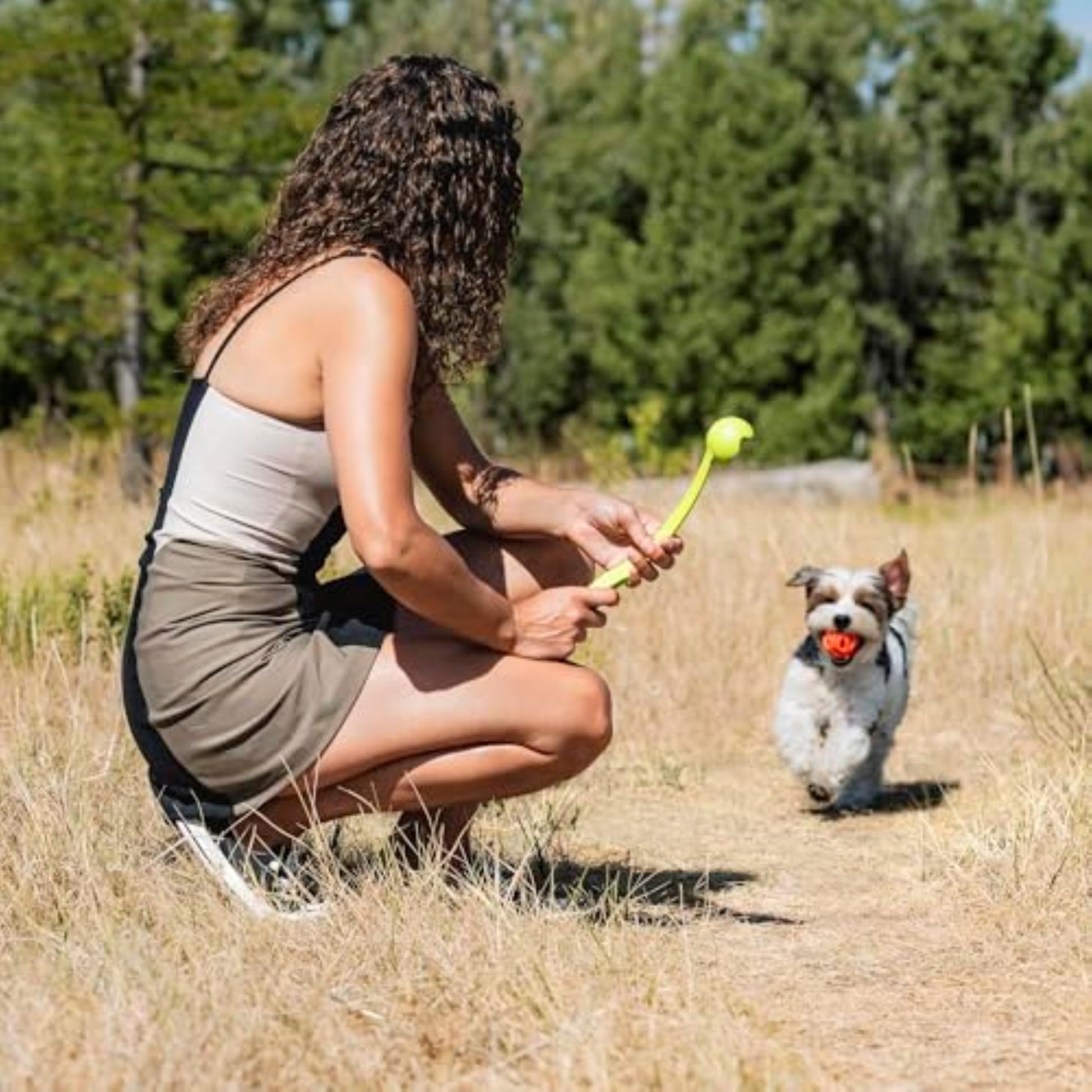 CHUCKIT! Large Durable Breathe Right Dog Ball