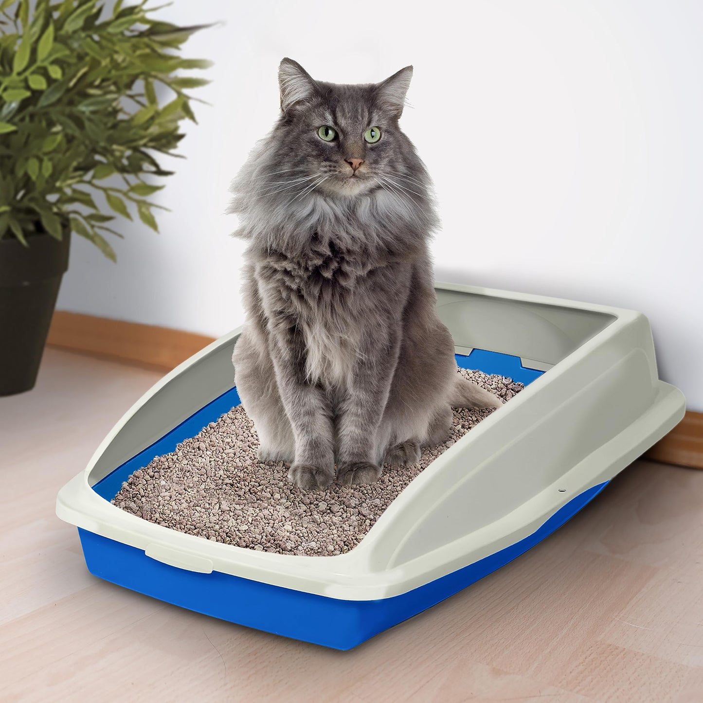 Arenero Abierto Vanness Tamaño Grande con Marco para Gato