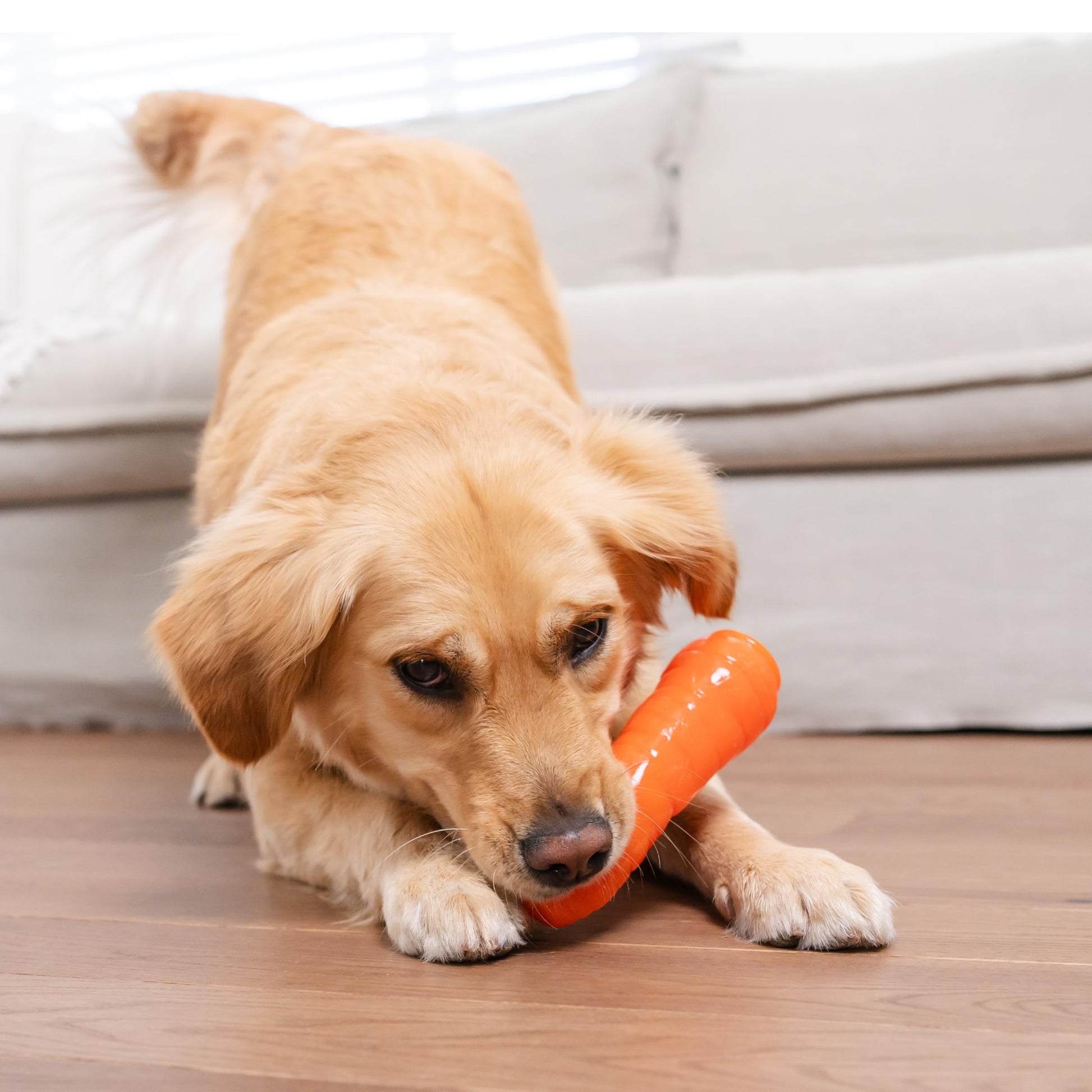 Juguete para Perros Planet Dog Orbee Tuff Naranja Duradero 7 Pulgadas Fabricado en EE. UU.