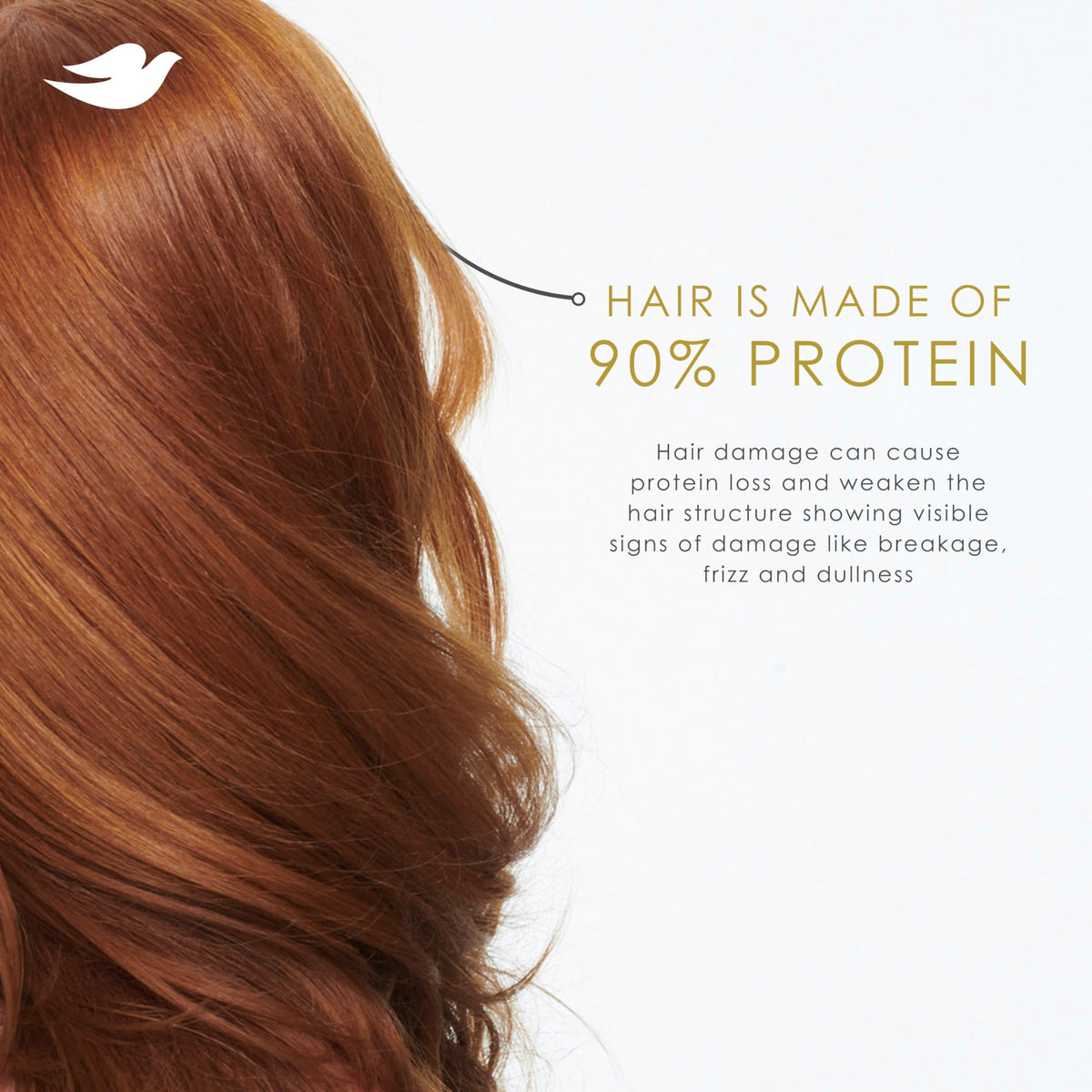 Dove Intensive Repair Regimen Pack