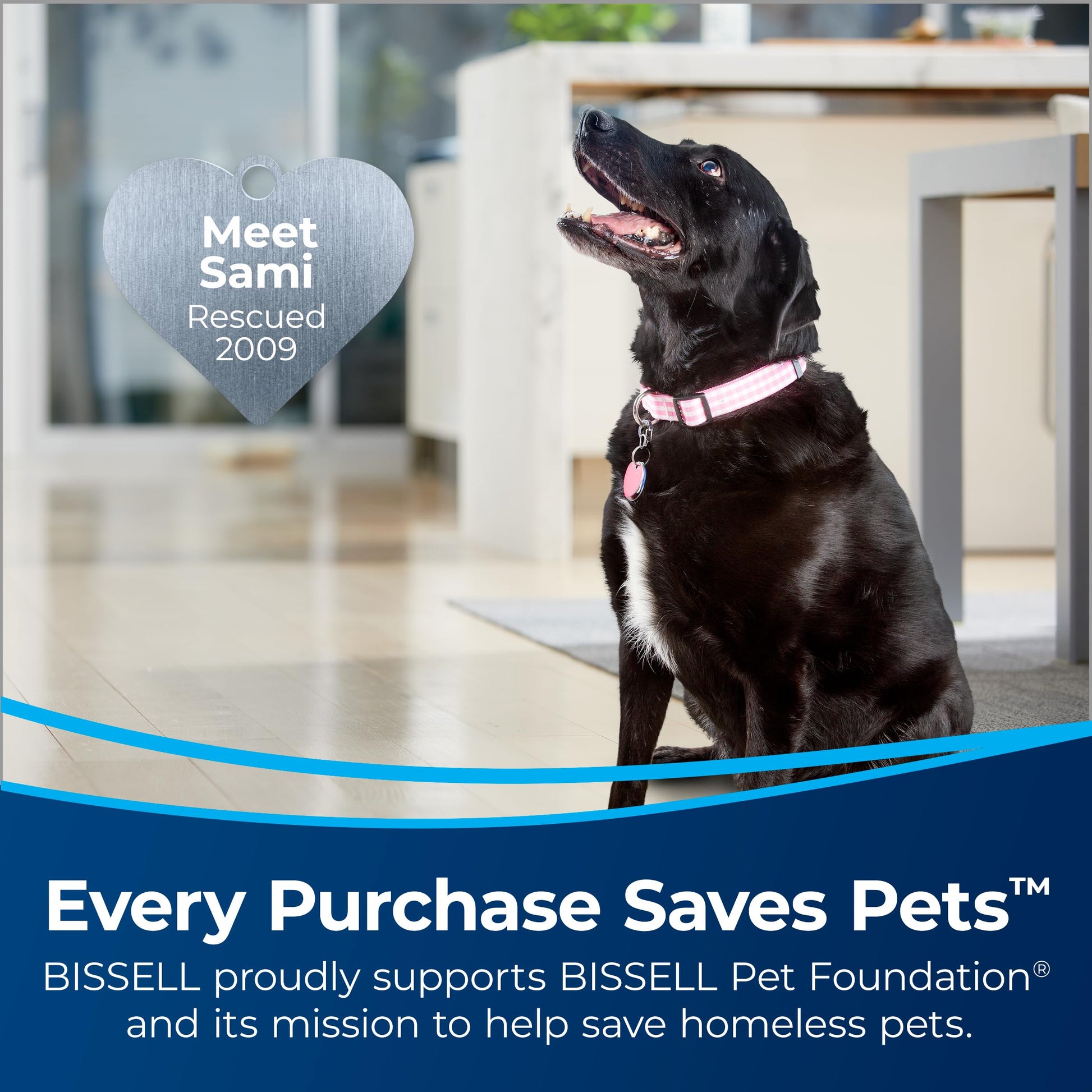Bissell CleanView - Aspiradora giratoria para Mascotas de tamaño Completo, con Varilla de liberación rápida y dirección giratoria, 3198A, el Color Puede Variar