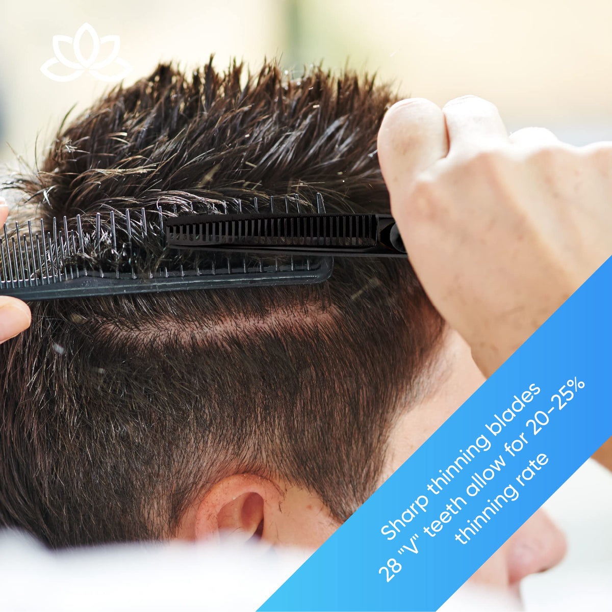 Equinox Professional Razor Edge Series Tijeras de corte de cabello - Tijeras de barbería para cortar y adelgazar cabello & Tijeras de texturizado - 16,5 cm - Para hombres/mujeres/niños/salón y hogar