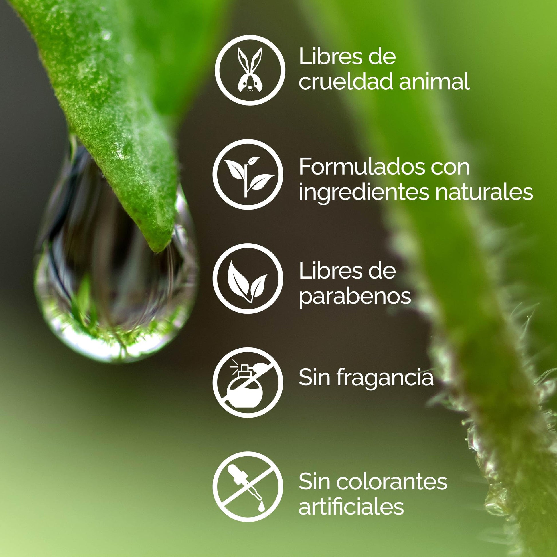 KareCo Diminish Despigmentante facial en Crema| Reduce manchas y líneas de expresión | Ácido Azelaico, Ácido Hialurónico y Vitamina C | Obtén una piel uniforme y radiante | agregalo a tu skin care