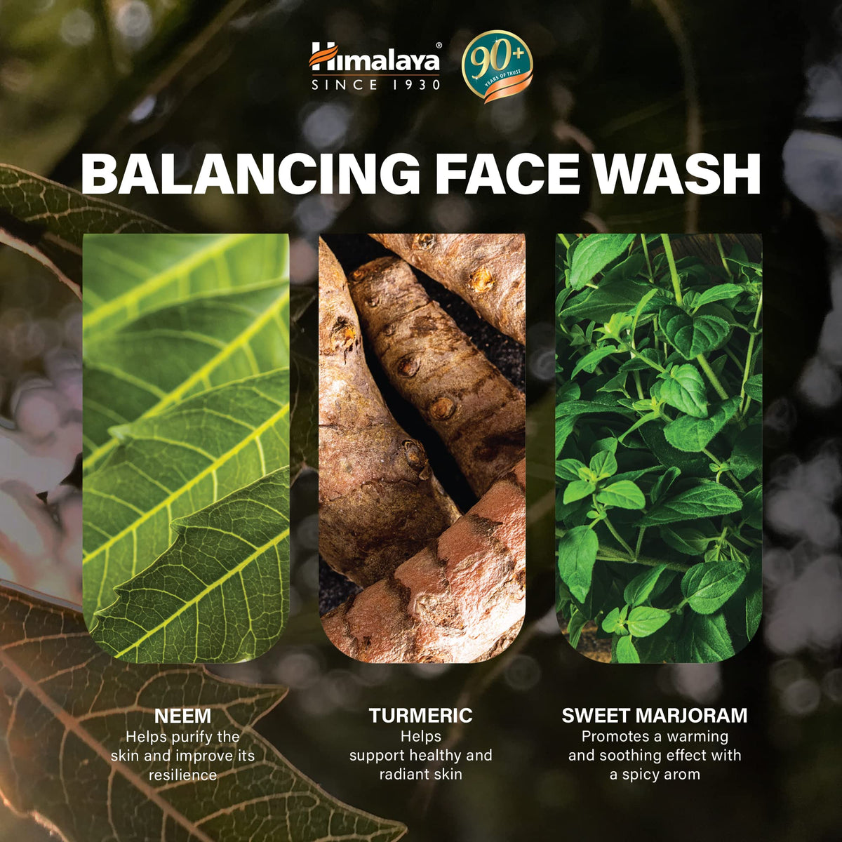 Himalaya Neem & Tumeric Face Wash and Cleanser, 150ml/5.07Fl Oz