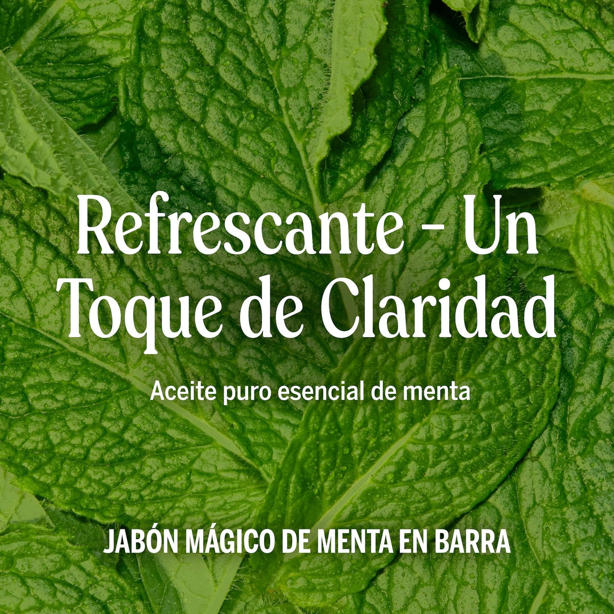 Dr. Bronner's | Jabón de castilla orgánico en barra, fórmula concentrada, frescor intenso y piel revitalizada, con aceite esencial de Menta, aroma Menta (3 pack)
