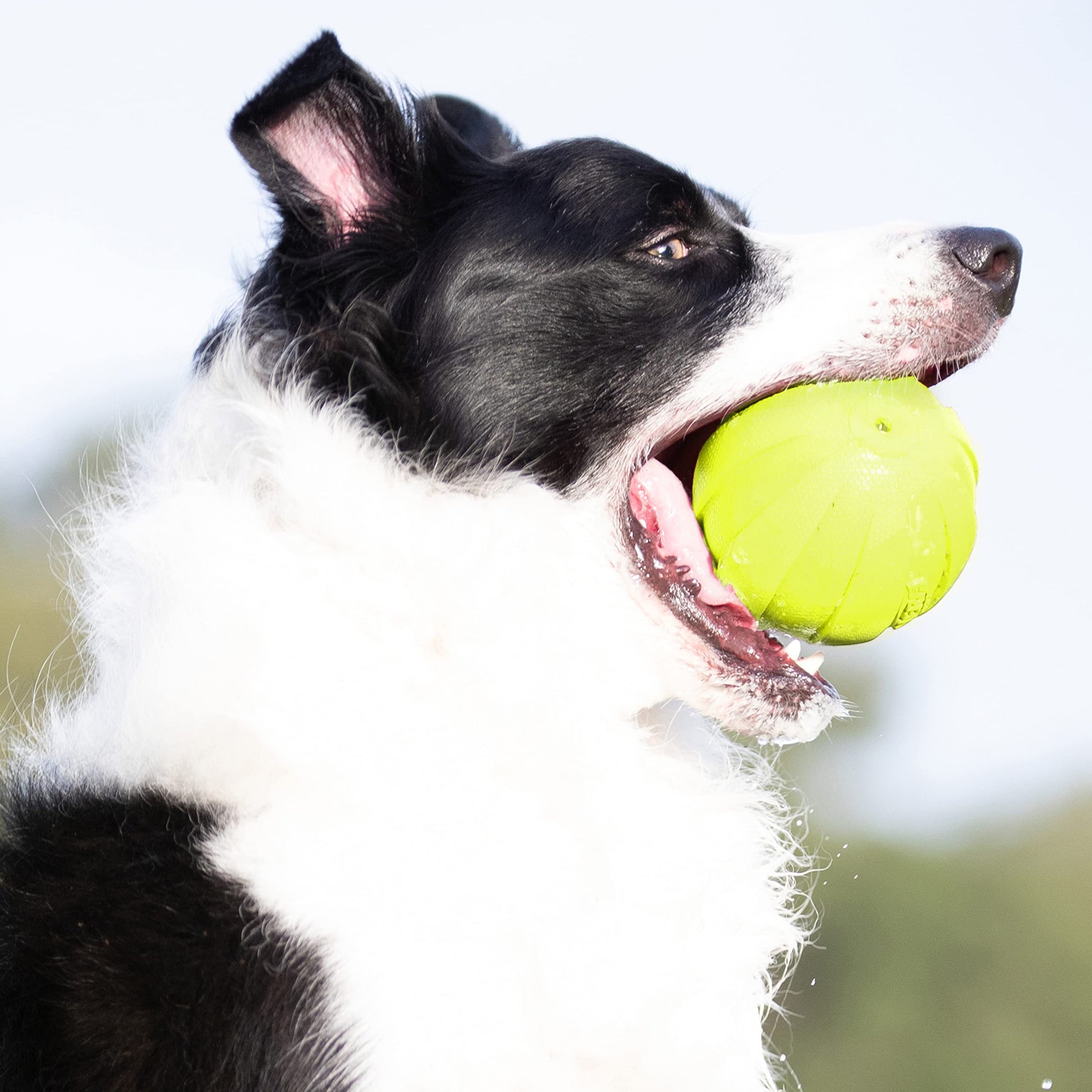 Pelota de Goma Nerf Verde con Chirriador Ligera y Resistente al Agua para Perro de Razas Medianas y Grandes