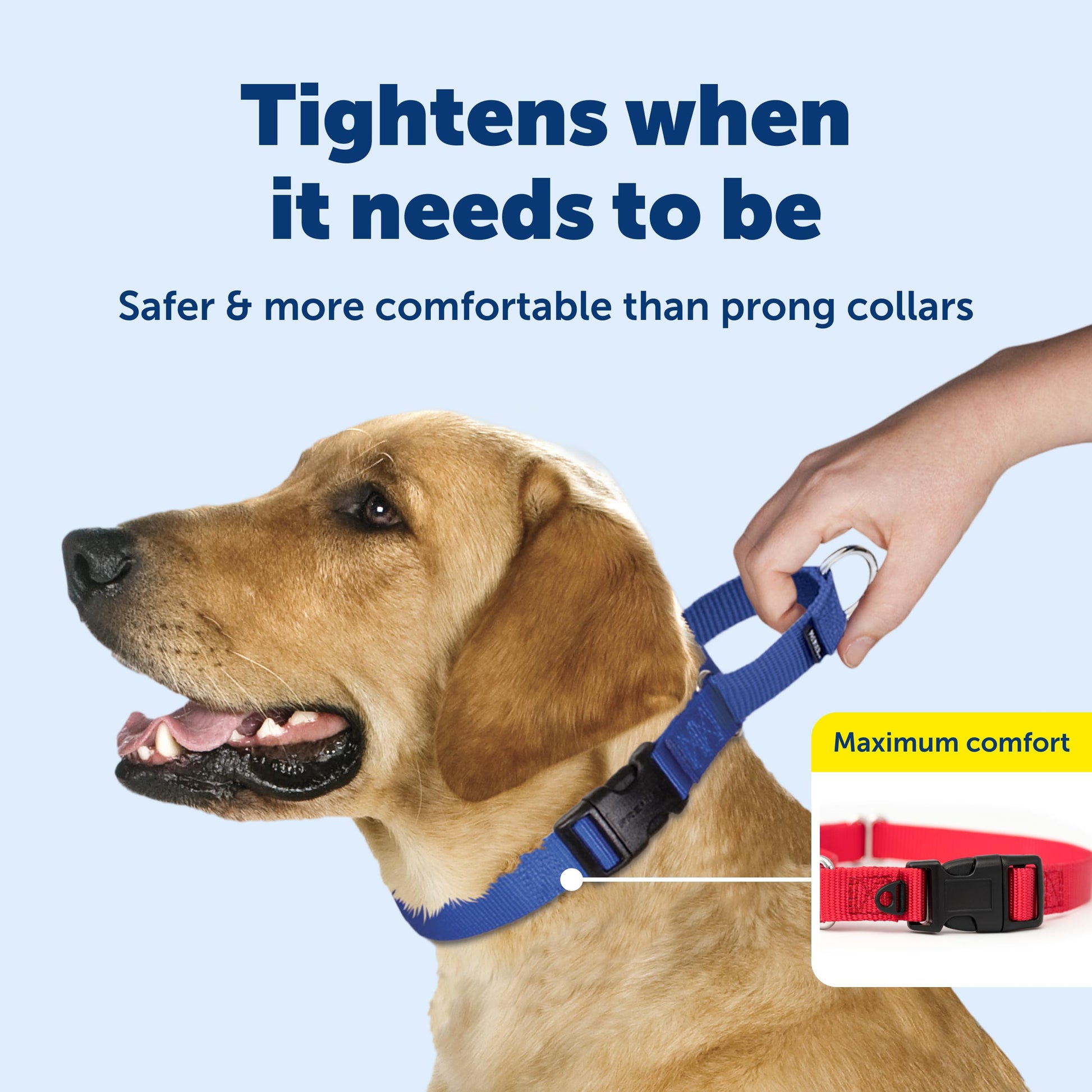 PetSafe Martingale Collar con Hebilla de Cierre rápido, 1 Pulgada, Grande, Azul Real