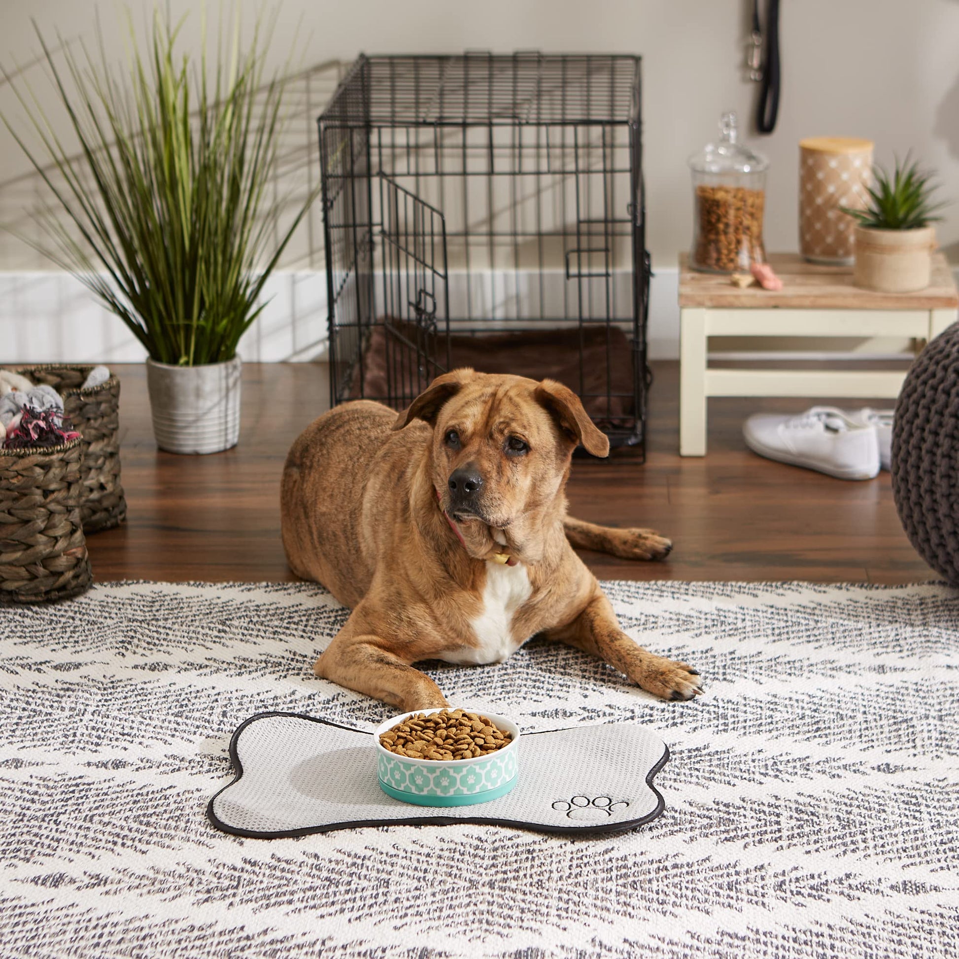 DII Bone Dry Lattice Ceramic Medium Pet Bowl For Food & Water, 6" Dia x 2"H, With Non-Skid Silicone Rim for Dogs and Cats-Aqua