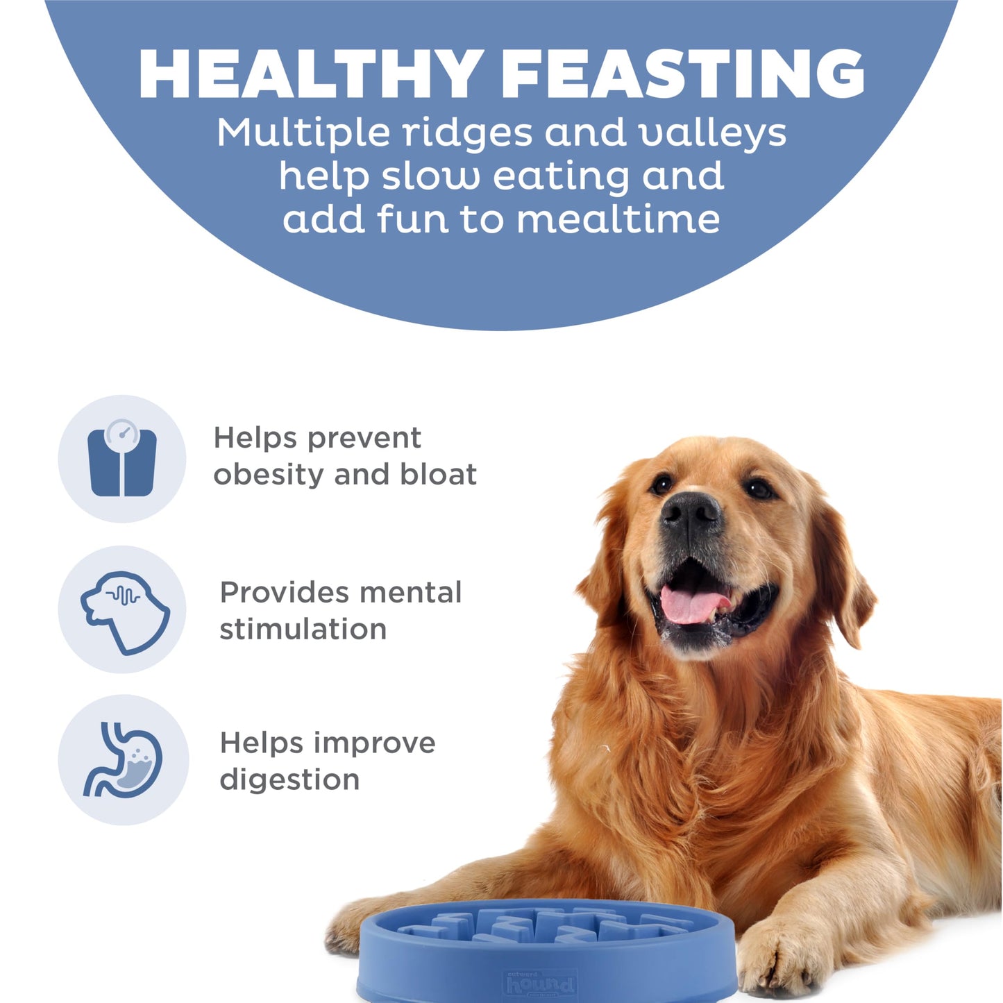 Plato para Perro Outward Hound Grande Azul con Alimentación Lenta