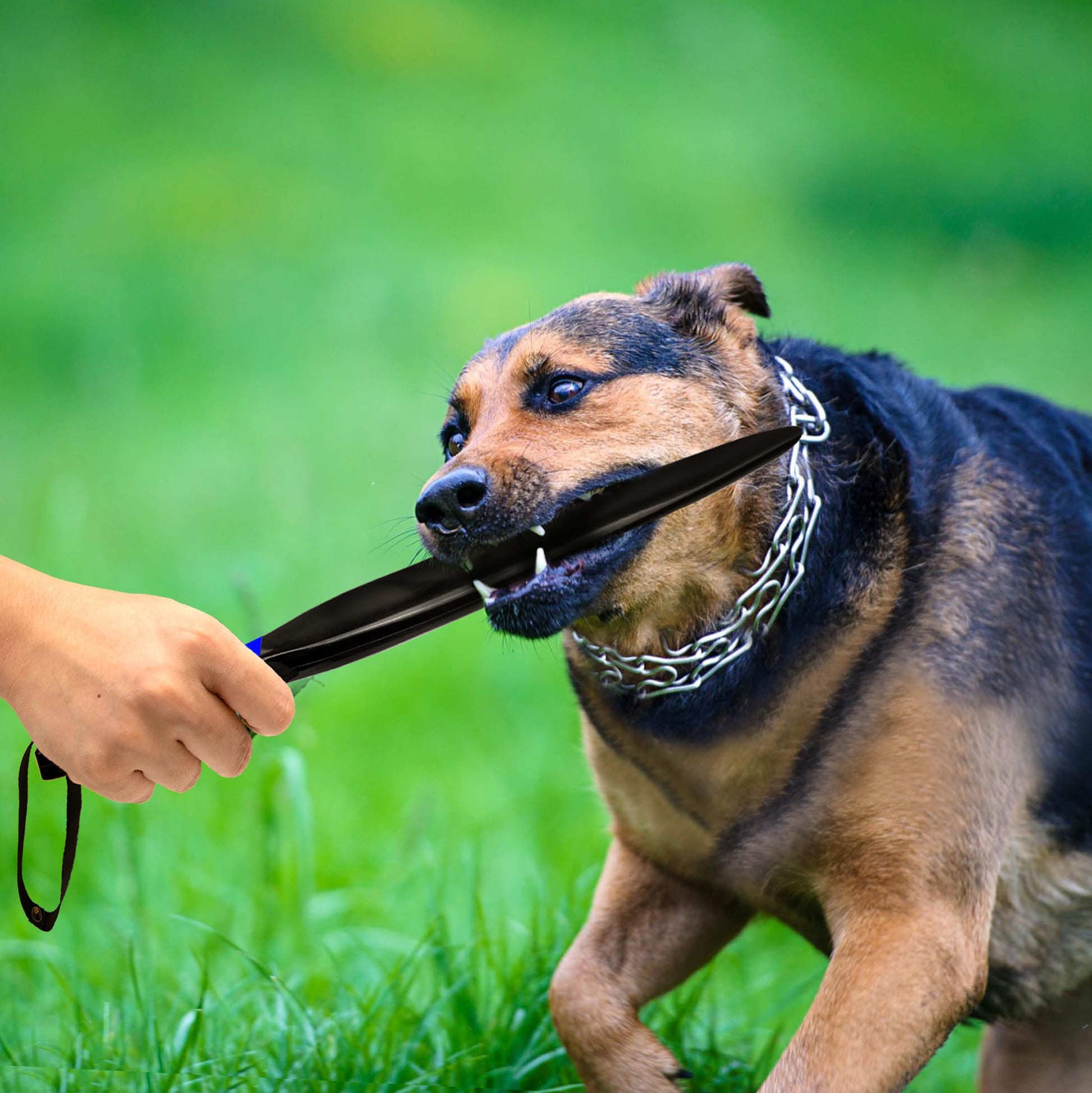 Palos Profesionales para Perros Grandes sin Mordeduras para Entrenamiento K9