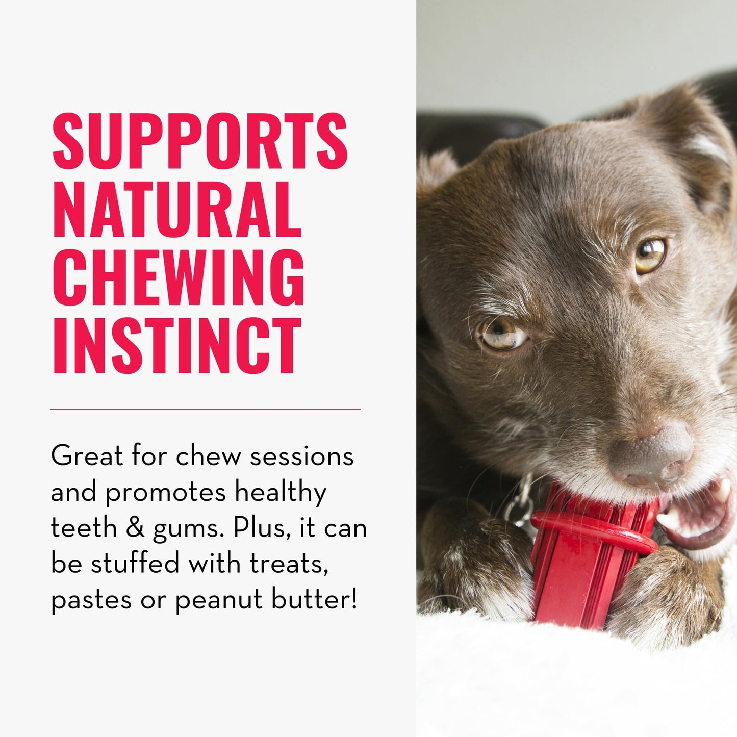 Kong Dental Stick Dog Toy, Small, Red, Pack of 1