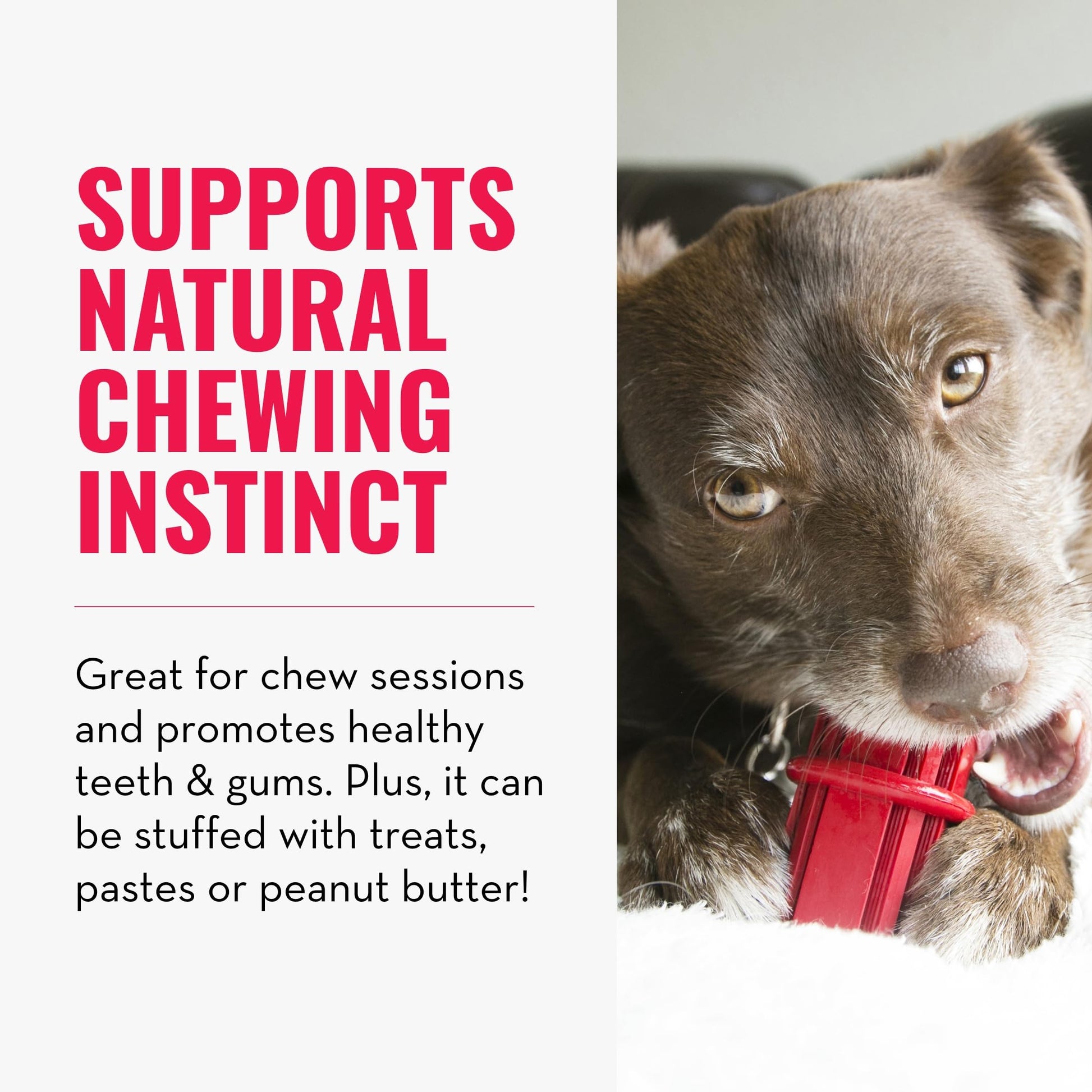 Kong Dental Stick Dog Toy, Small, Red, Pack of 1