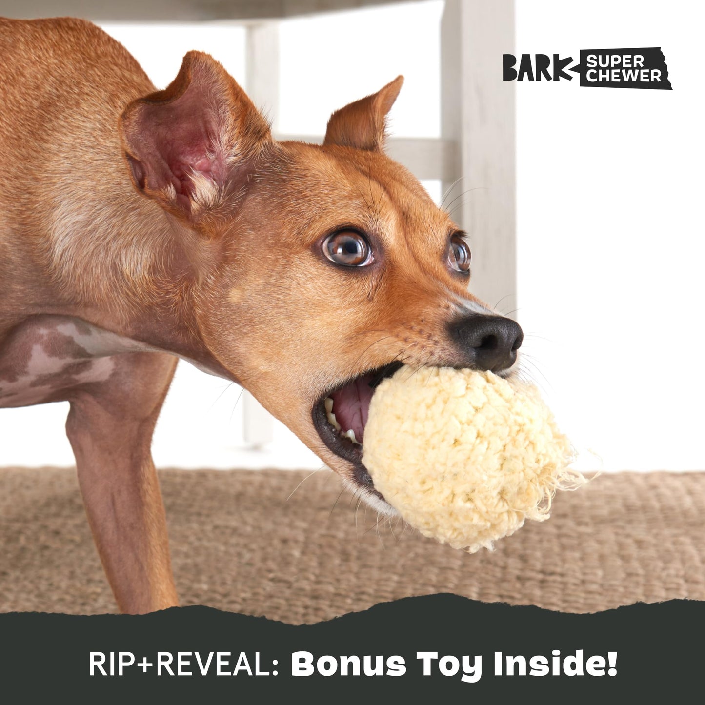 BarkBox Juguetes perfumados para perros y masticables, goma resistente y nailon supermasticable, juguetes de rompecabezas dispensadores de golosinas, bolas y juguetes de dentición para perros y cachorros pequeños, medianos y grandes, papa aplastada