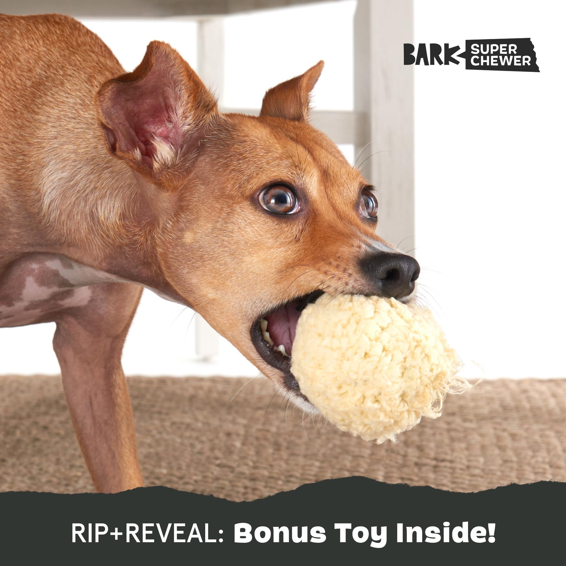 BarkBox Juguetes perfumados para perros y masticables, goma resistente y nailon supermasticable, juguetes de rompecabezas dispensadores de golosinas, bolas y juguetes de dentición para perros y cachorros pequeños, medianos y grandes, papa aplastada