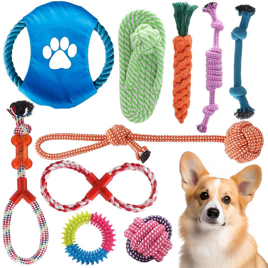 KAMYSEN Contiene 10 Juguetes, Juguete con Correa para Perros, Entrena Dientes de Cachorro para lanzar y Varios Juegos, 100% no tóxico, pequeño Juguete Interactivo para Mascotas de tamaño Mediano.