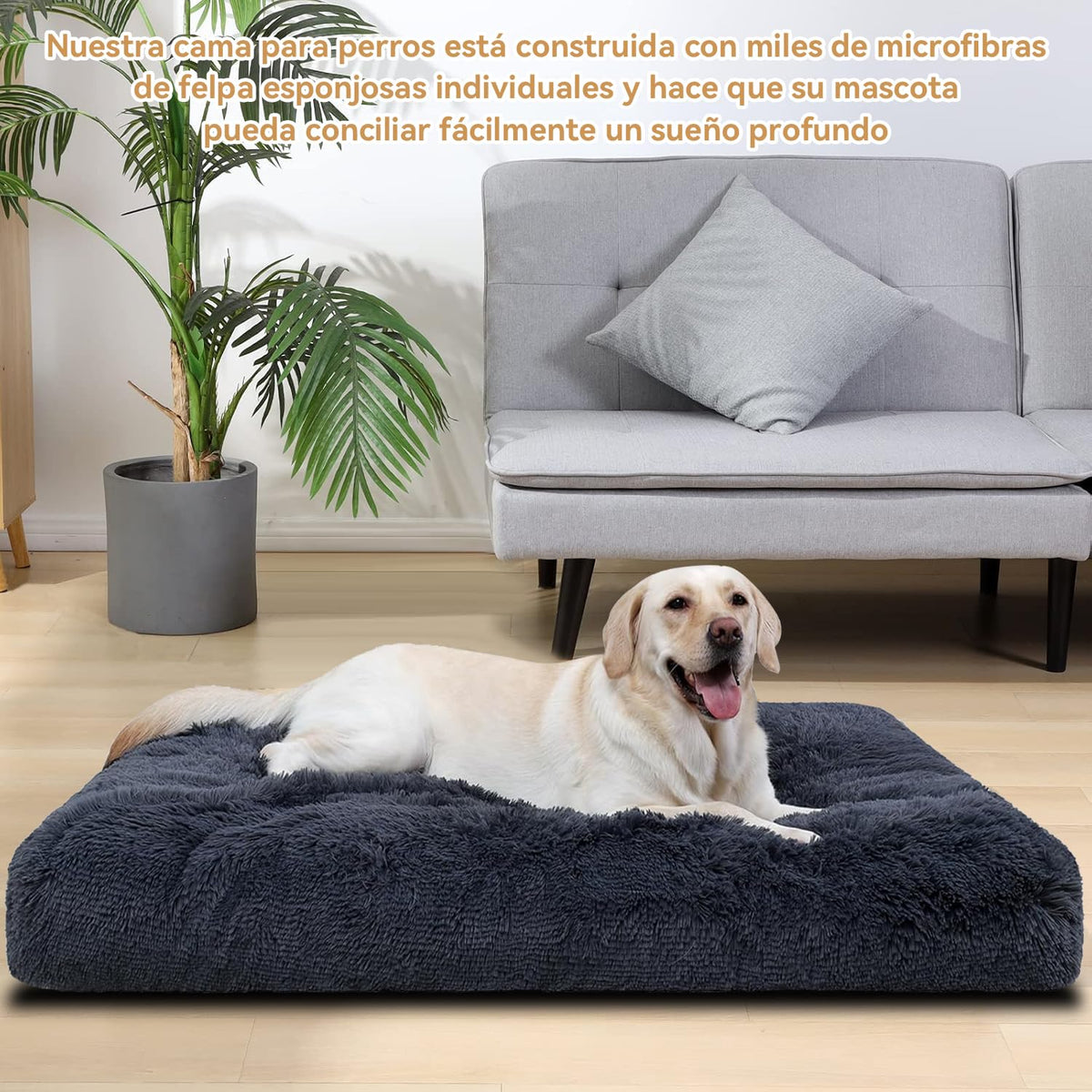 Cama Ortopédica para Perro Muja Grande Almohadillas Extraíbles Antideslizante