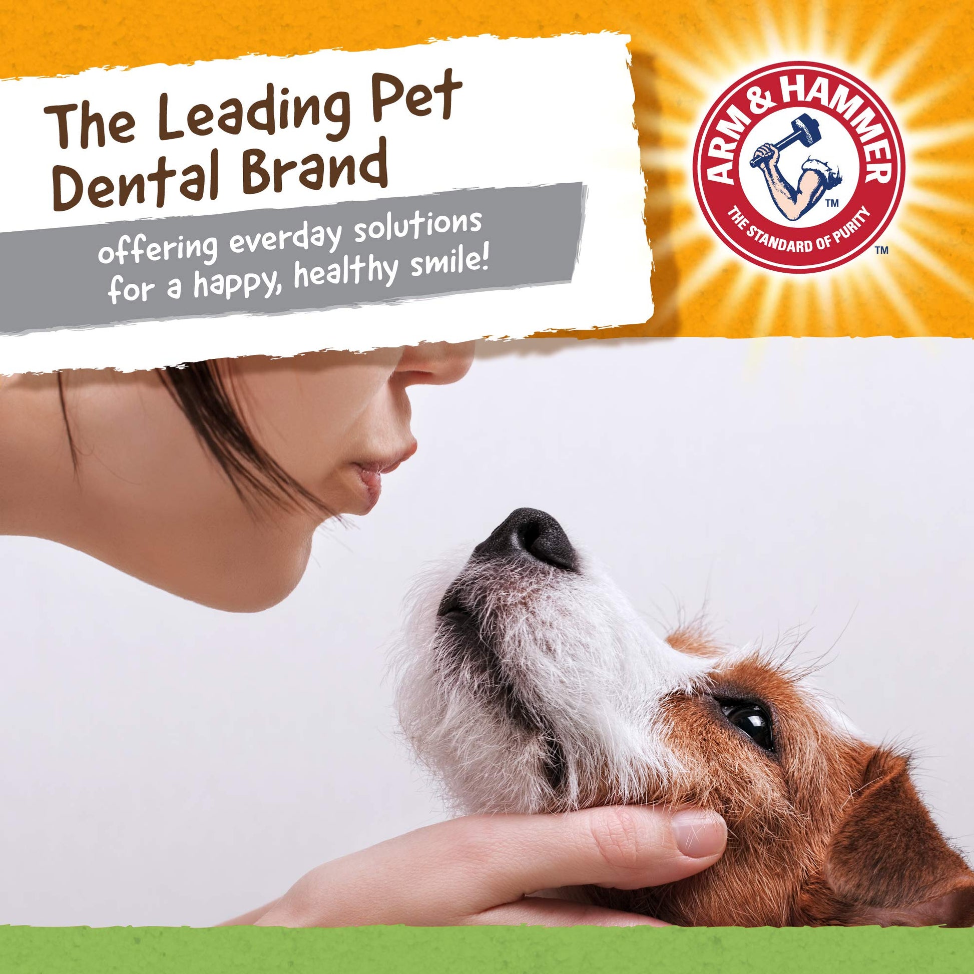 Fetch For Pets Arm & Hammer Tartar Control Bone-Tyrannosaurs Rex