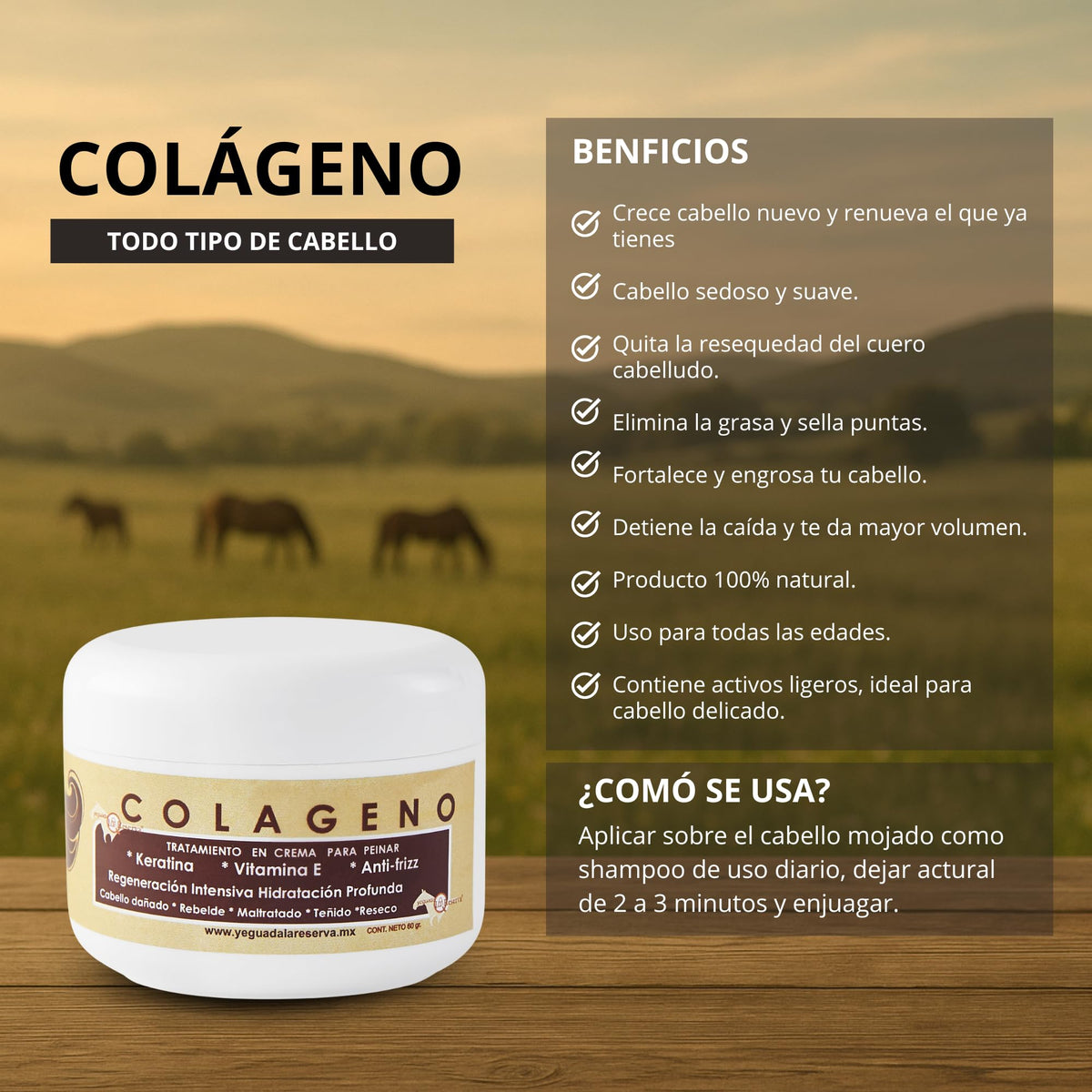 Shampoo Yeguada La Reserva Negro Colágeno para Uso Humano y Crema para Peinar para Todo Tipo de Cabello