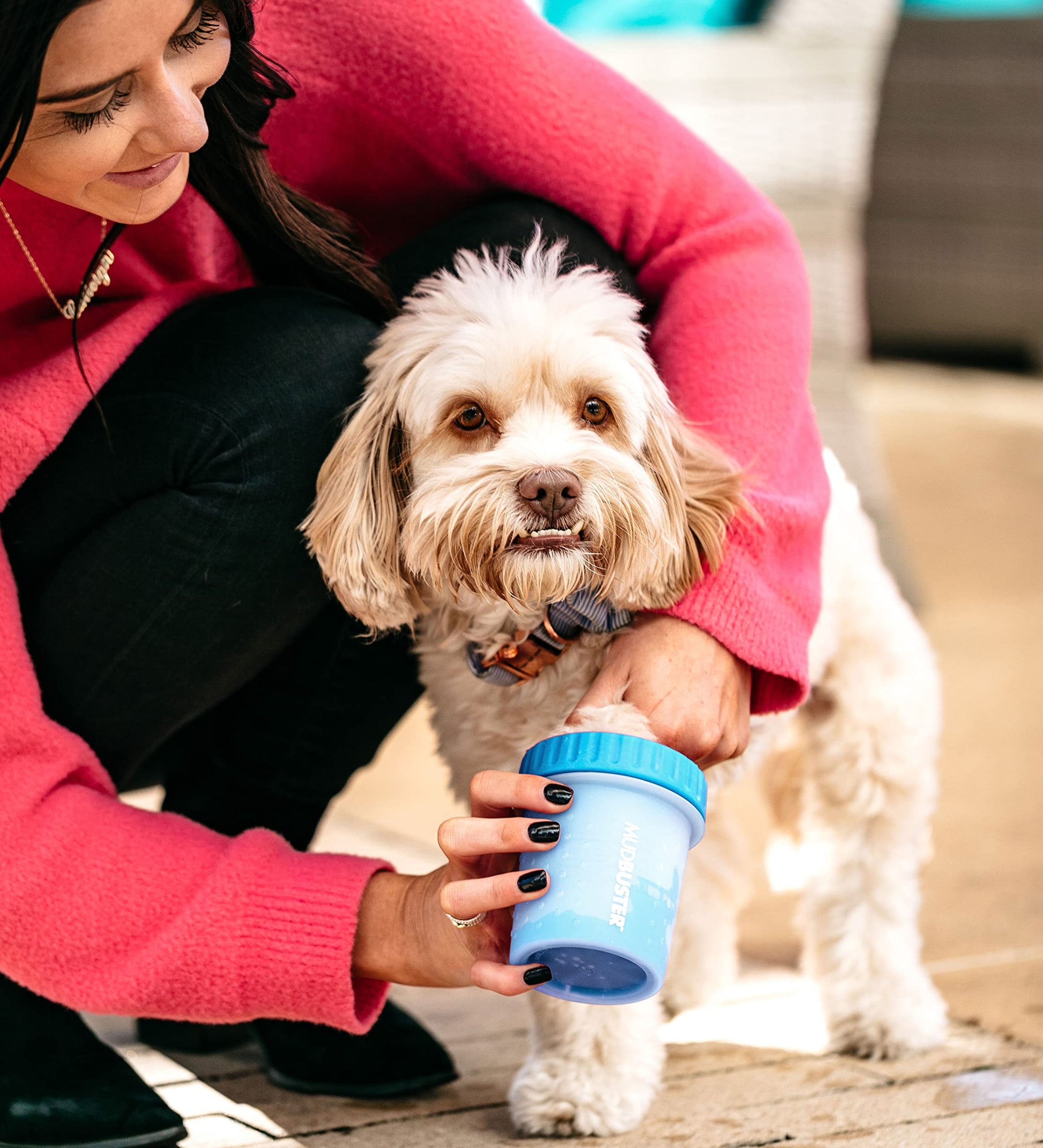 Dexas MudBuster Limpiador portátil para patas de perro, Azul, Pequeño