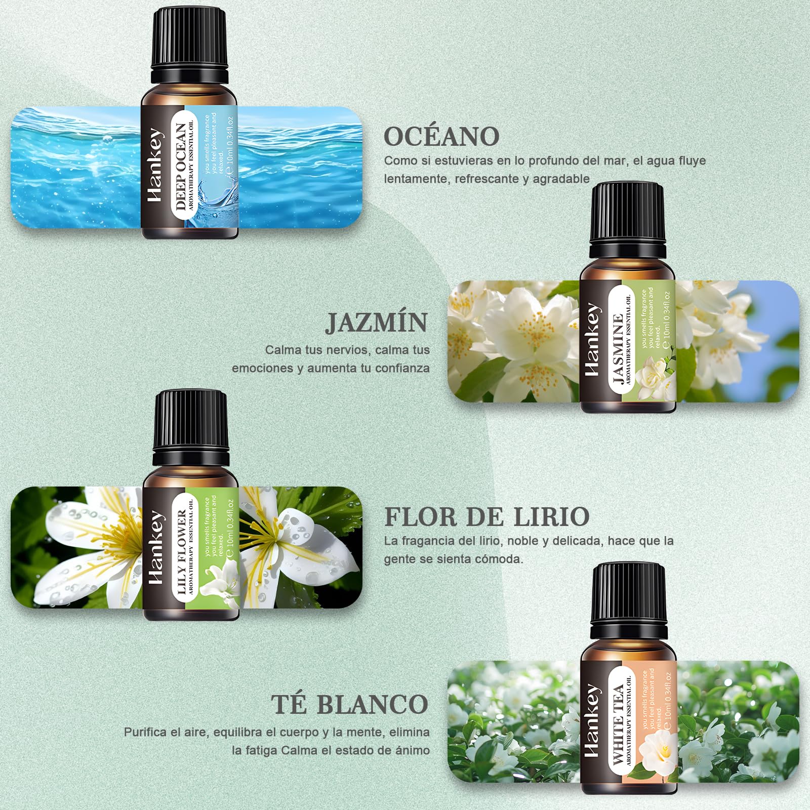 Aceites Esenciales de Aromaterapia RENDIN Variados Paquete 8PCS para Difusor y Manualidades