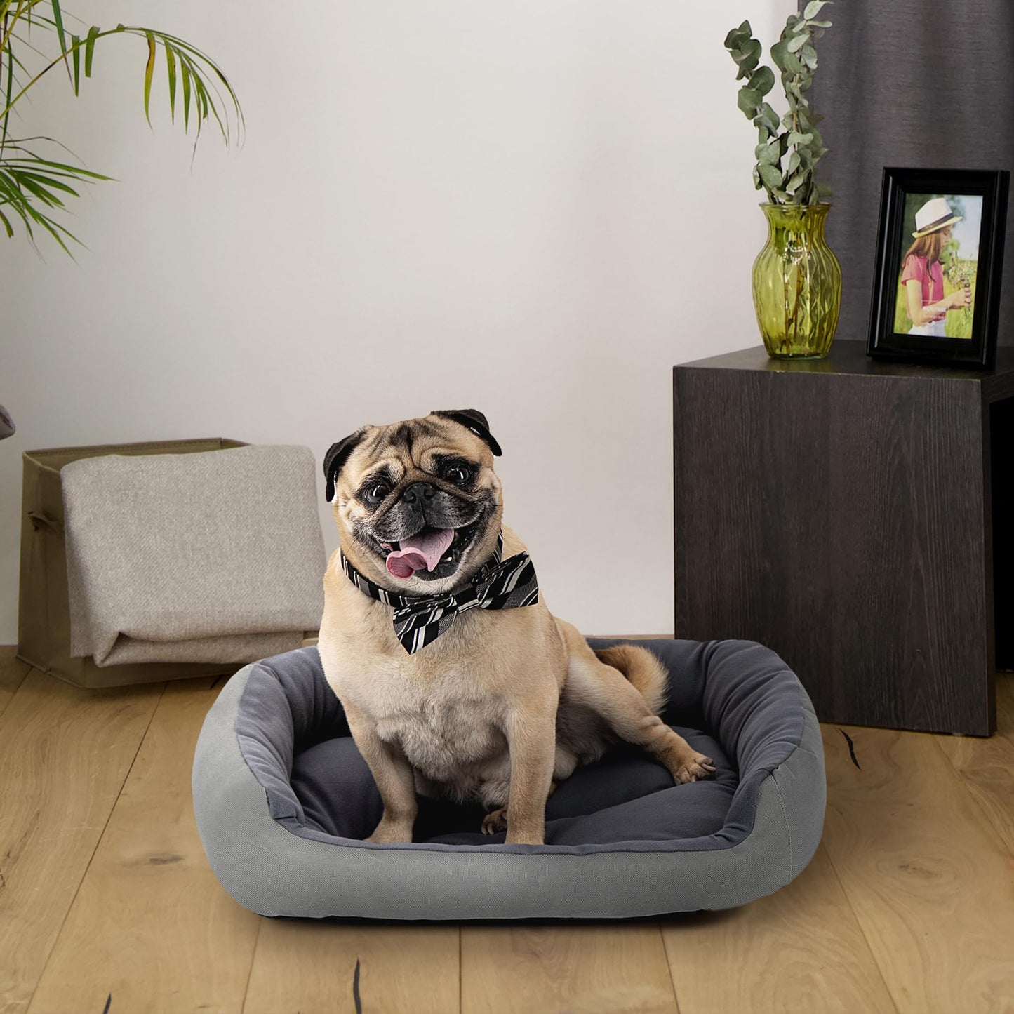 Cama para Perro Hills Gris Resistente y Confortable