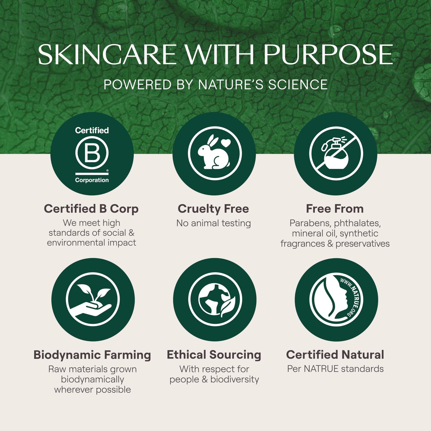 Weleda Skin Food Crema de día nutritiva para el cuidado facial, 1.3 onzas líquidas, hidratante rico en plantas con extracto de hoja de olivo, escualano y manzanilla