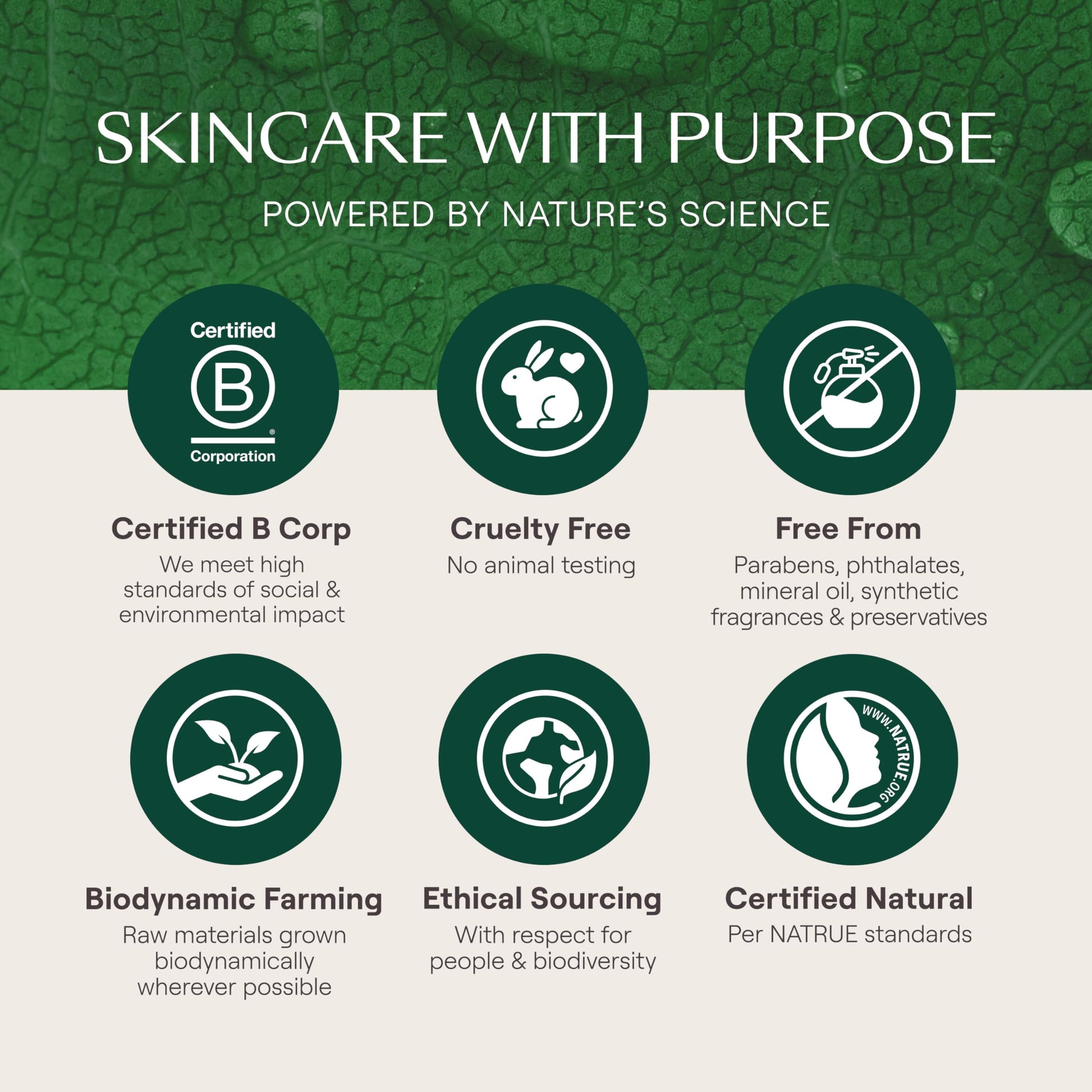 Weleda Skin Food Crema de día nutritiva para el cuidado facial, 1.3 onzas líquidas, hidratante rico en plantas con extracto de hoja de olivo, escualano y manzanilla