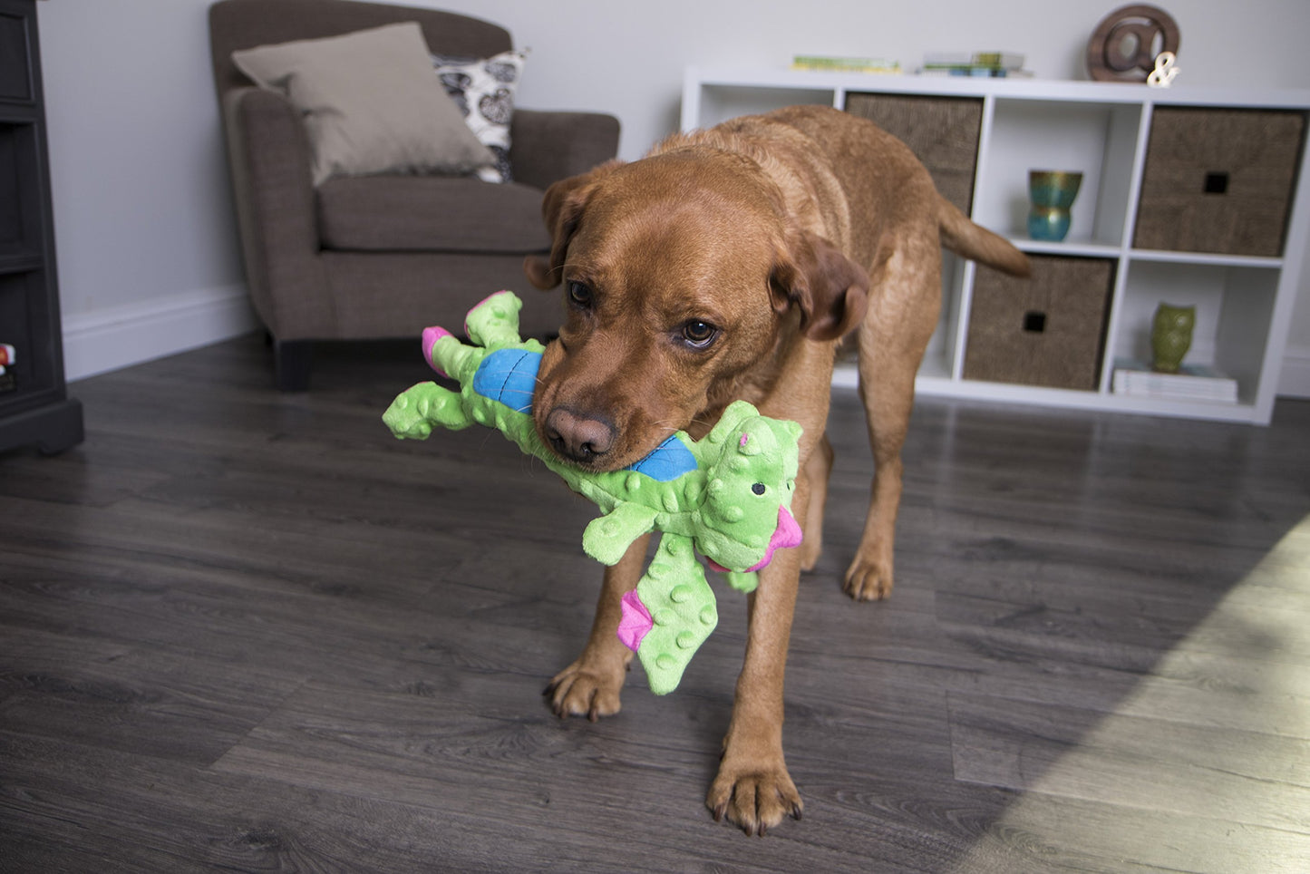 goDog Skinny Dragons Green Juguete Grande con Protector para Masticar (094407)