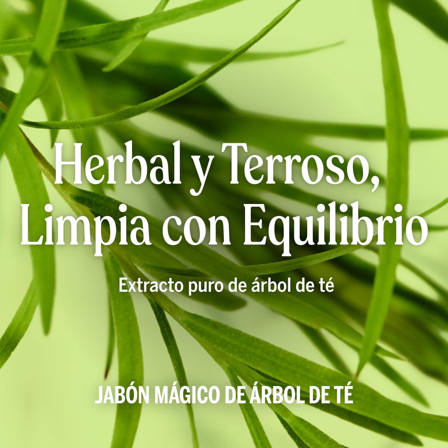 Dr. Bronner´s Jabon de Castilla 32 oz (Tea Tree)