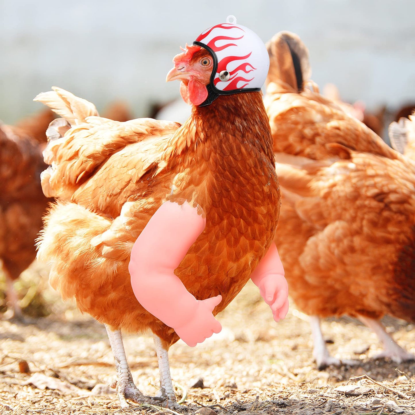 Gejoy 2 Juguetes de Pollo Incluye Brazos de Muñeca de Pollo y Casco de Pollo Casco de Seguridad para Mascotas para Gallinas