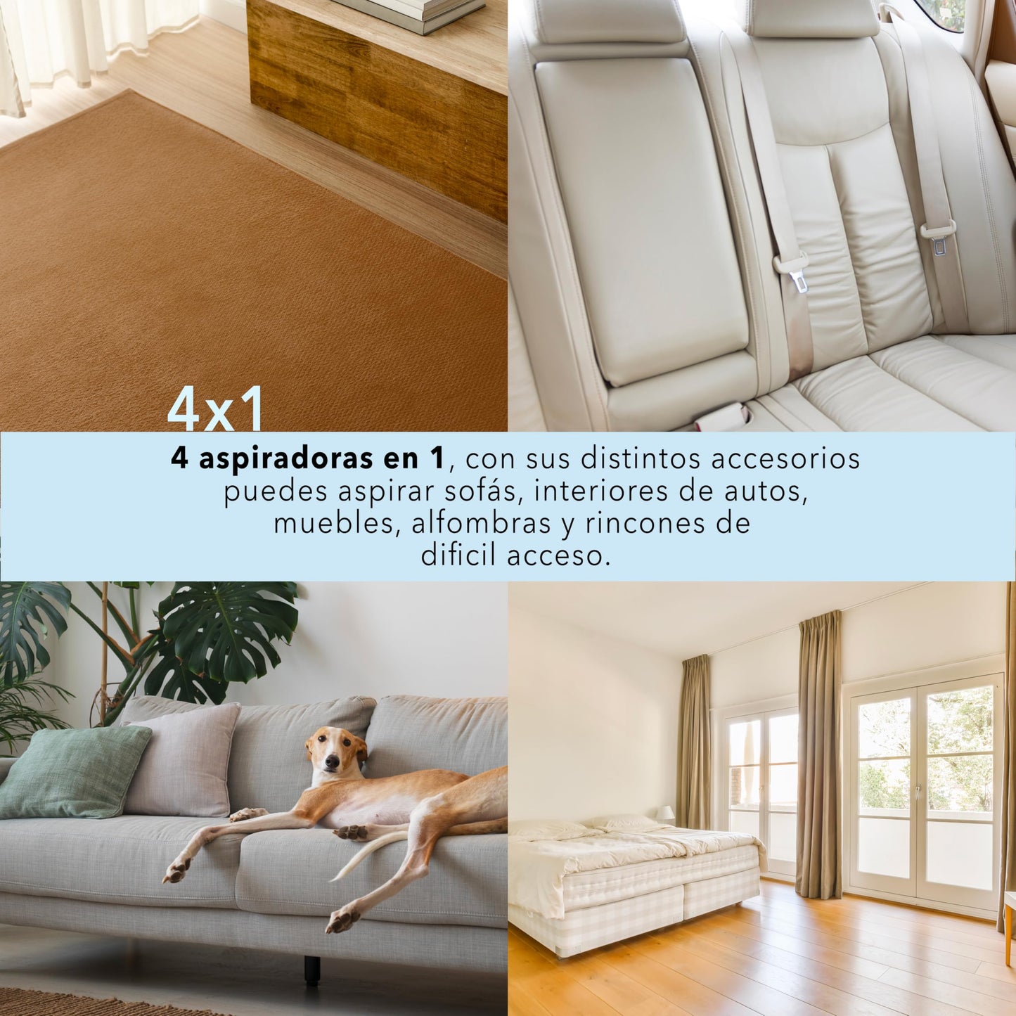 RCA Aspiradora Canister Echo RC-A2, Regulador de Succión, Filtro HEPA, Capacidad 2 L Extraíble, Ideal para Mascotas y Polvo, Accesorios Incluidos, Hogar y Alfombras, Cable de 5 m, Ligera y Portátil