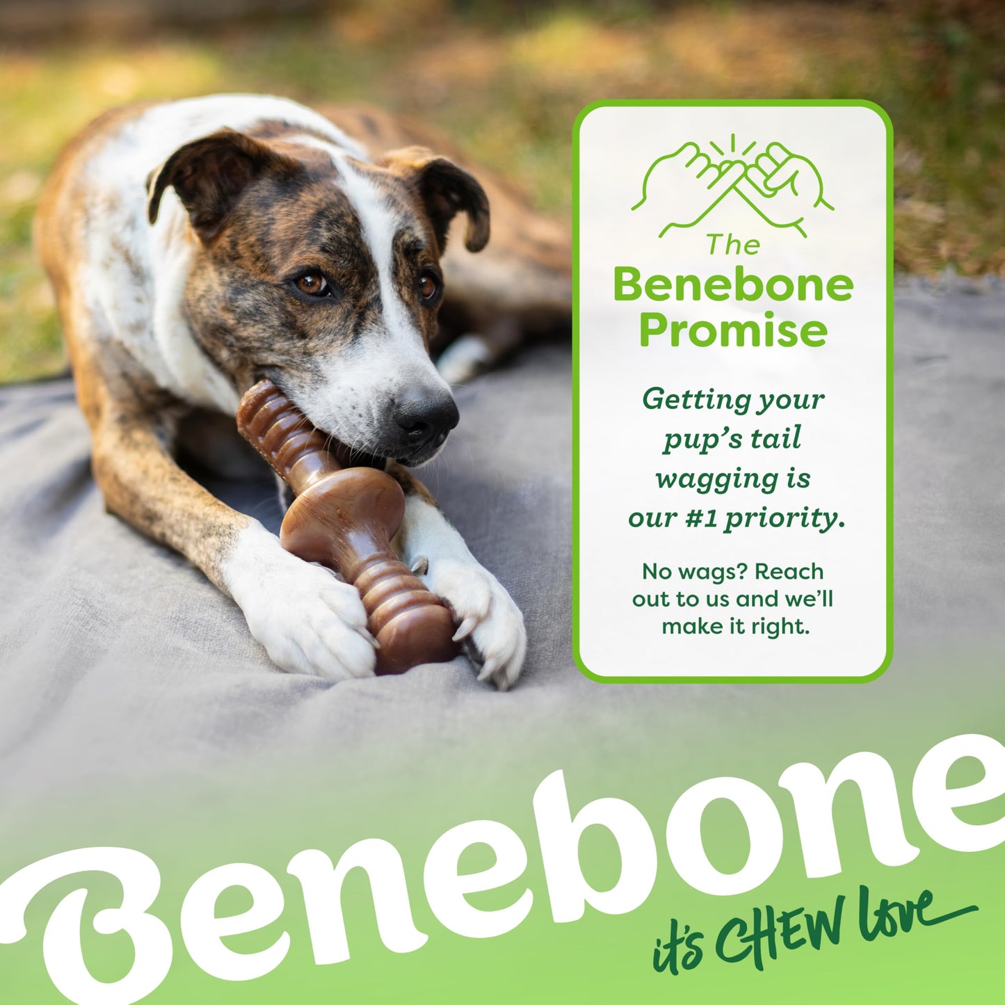 Benebone Zaggler - Juguete masticable para Perro, Hecho en Estados Unidos, Sabor de Cacahuete Real, Grande
