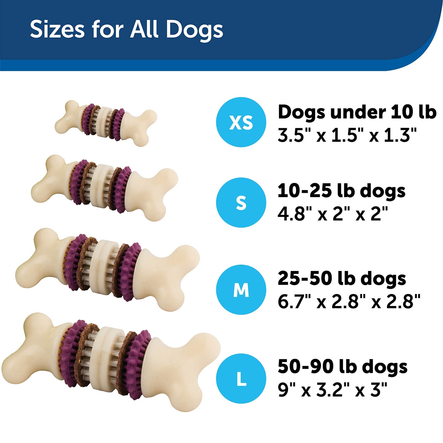 PetSafe Busy Buddy Bristle Bone Juguete para Perro, Extra pequeño