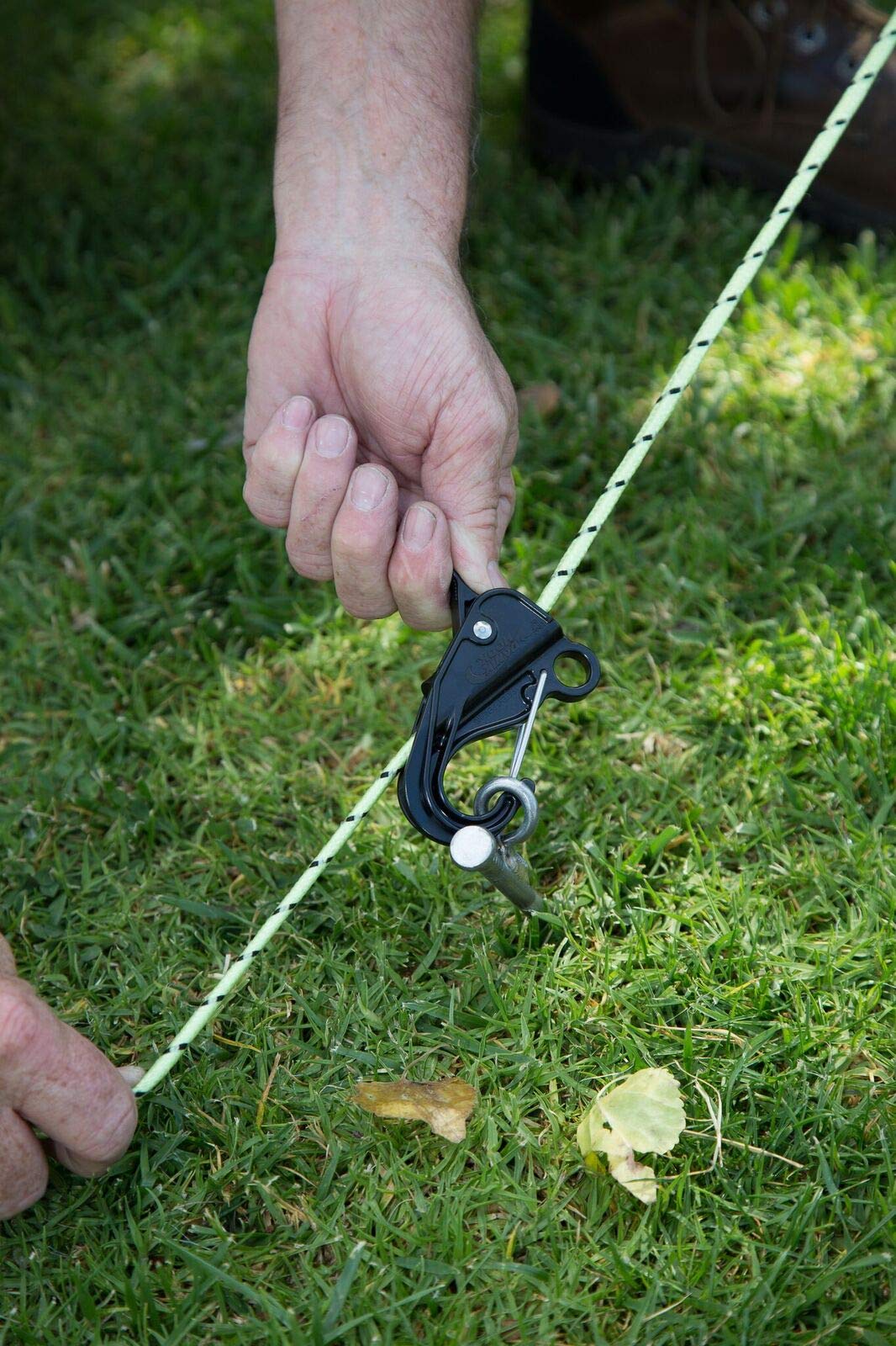 Danik Hook, Mini