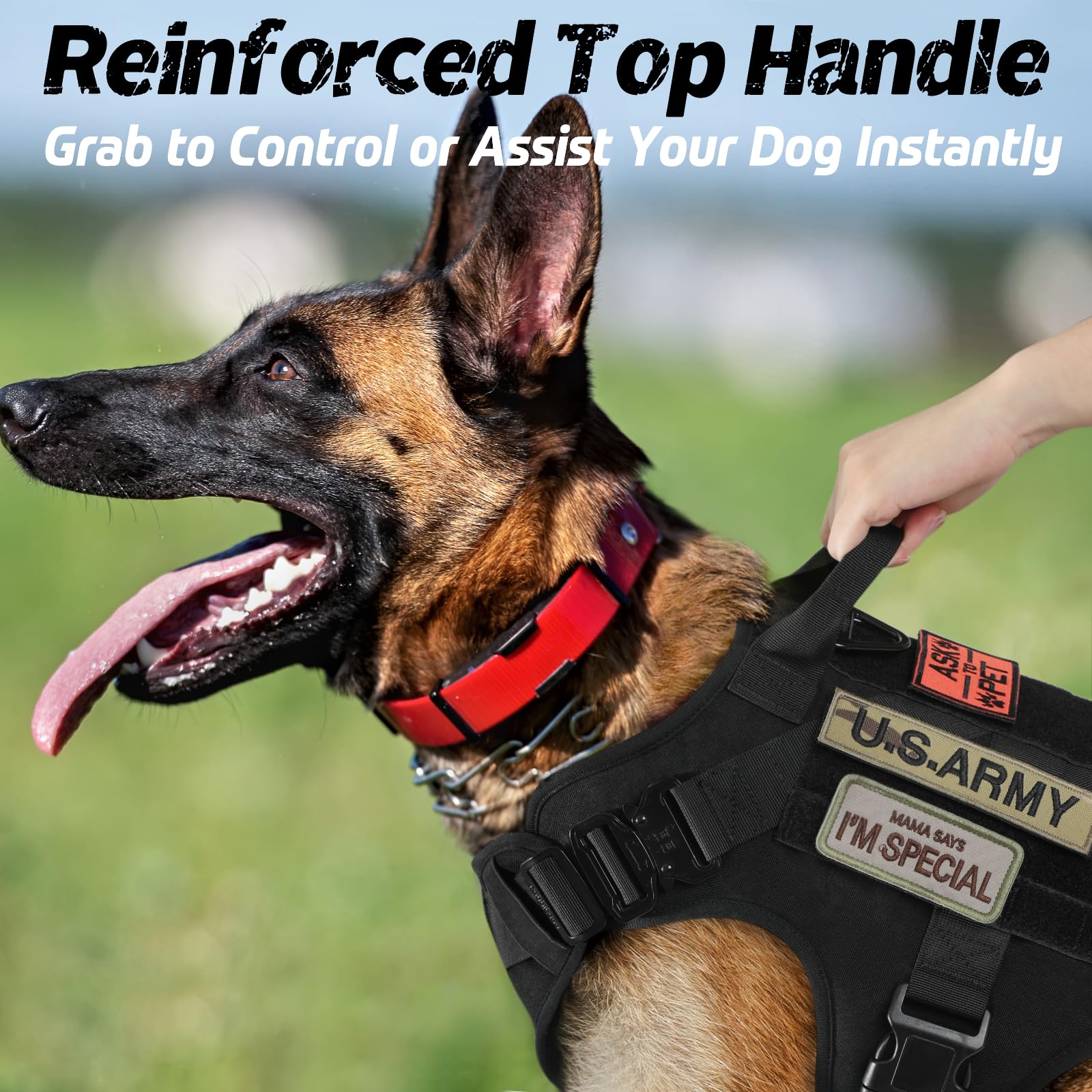 Chaleco Táctico Rabbitgoo Negro XL con Asa y Hebillas de Metal para Perro de Trabajo Militar