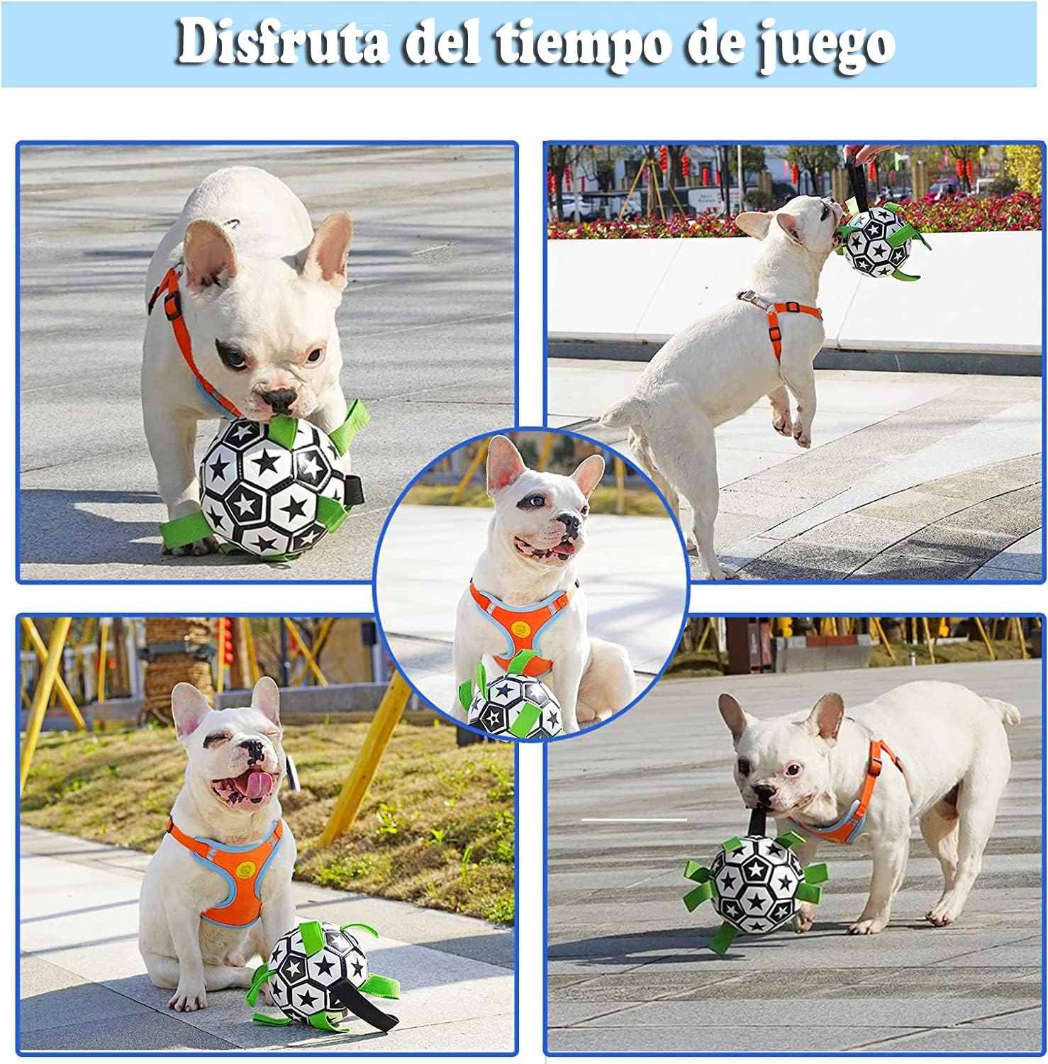 Juguete para Perros FRANCISCO Balón de Fútbol Estrellas con Pestañas de Agarre Duradero Interactivo