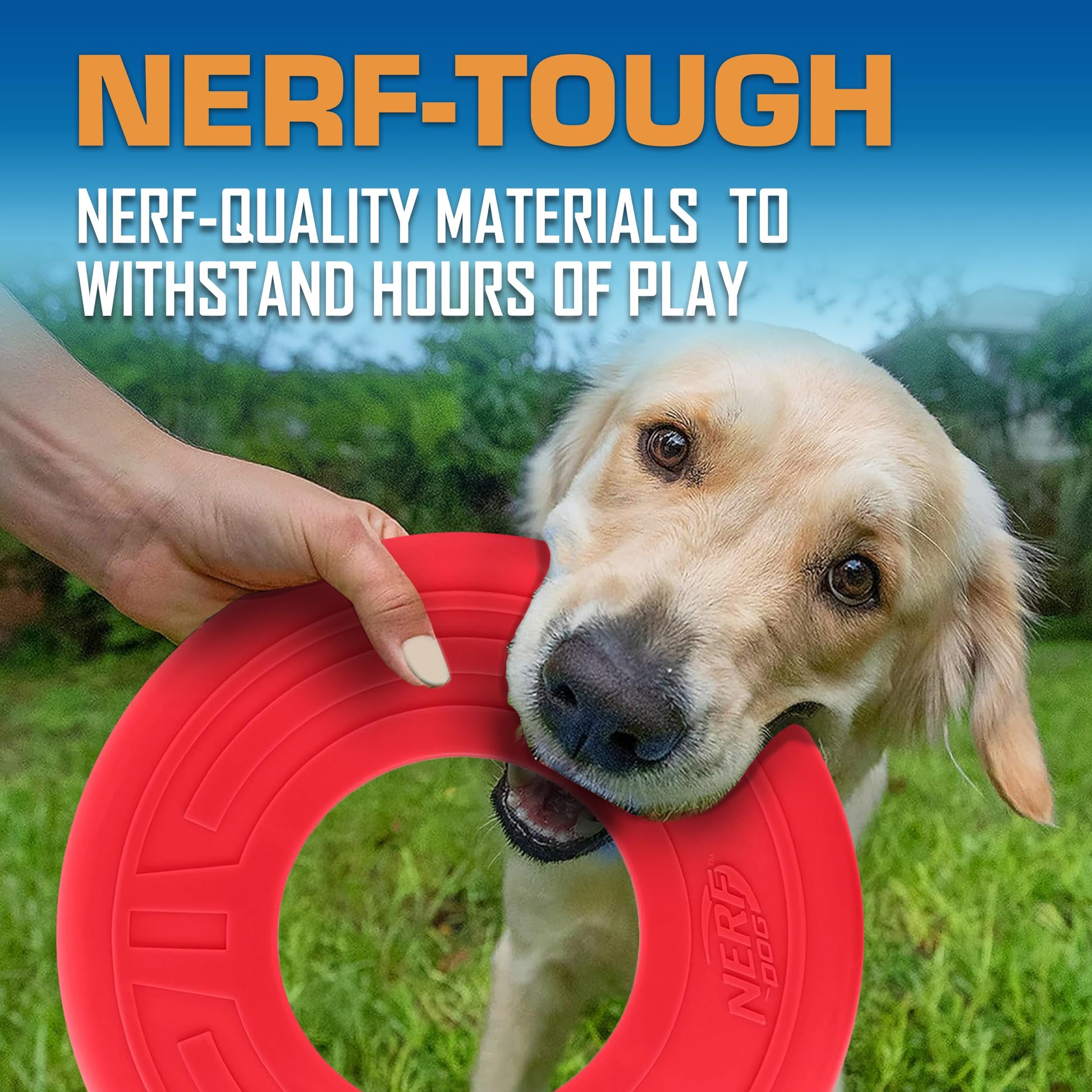 Juguete para Perro Nerf Flyer para Perro, Frisbee, Ligero, Duradero y Resistente al Agua, Ideal para Playa y Piscina, 10 Pulgadas de diámetro, para Razas Medianas/Grandes, Rojo, One-Size-for-Most