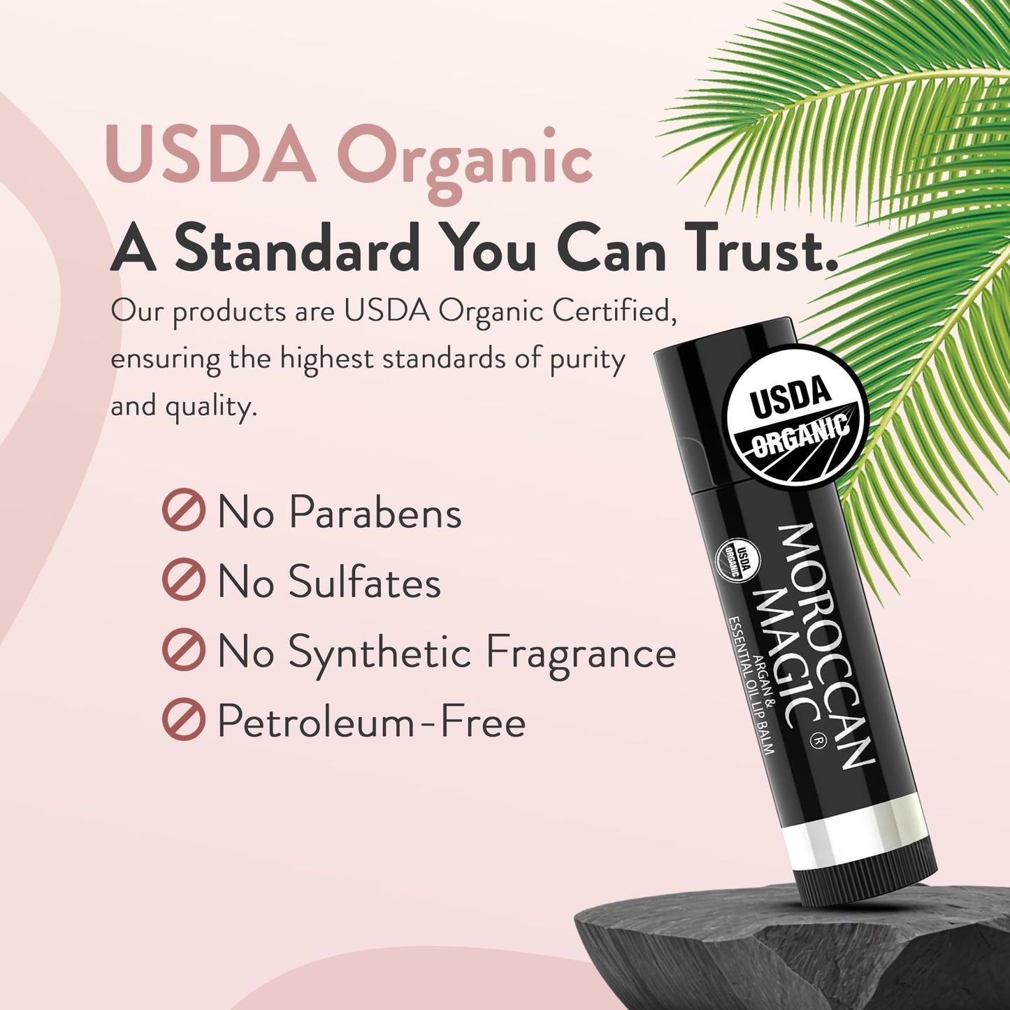 Bálsamo labial orgánico sin perfume marroquí, 3 unidades, hecho con argán prensado en frío natural y aceites esenciales, aplicación suave, no tóxico, libre de crueldad
