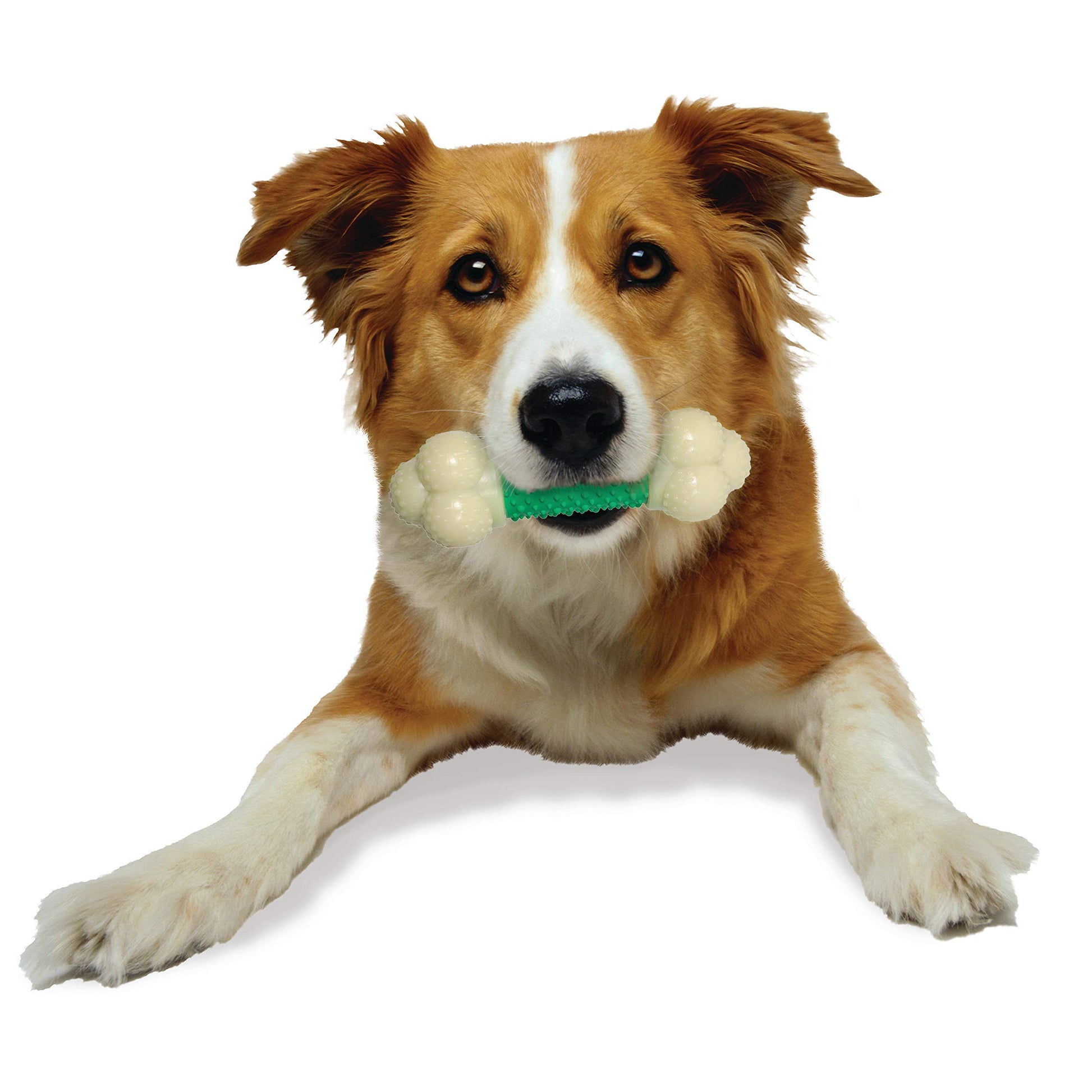 Juguete Masticable Nylabone Dura Chew Sabor a Tocino para Perro Medio