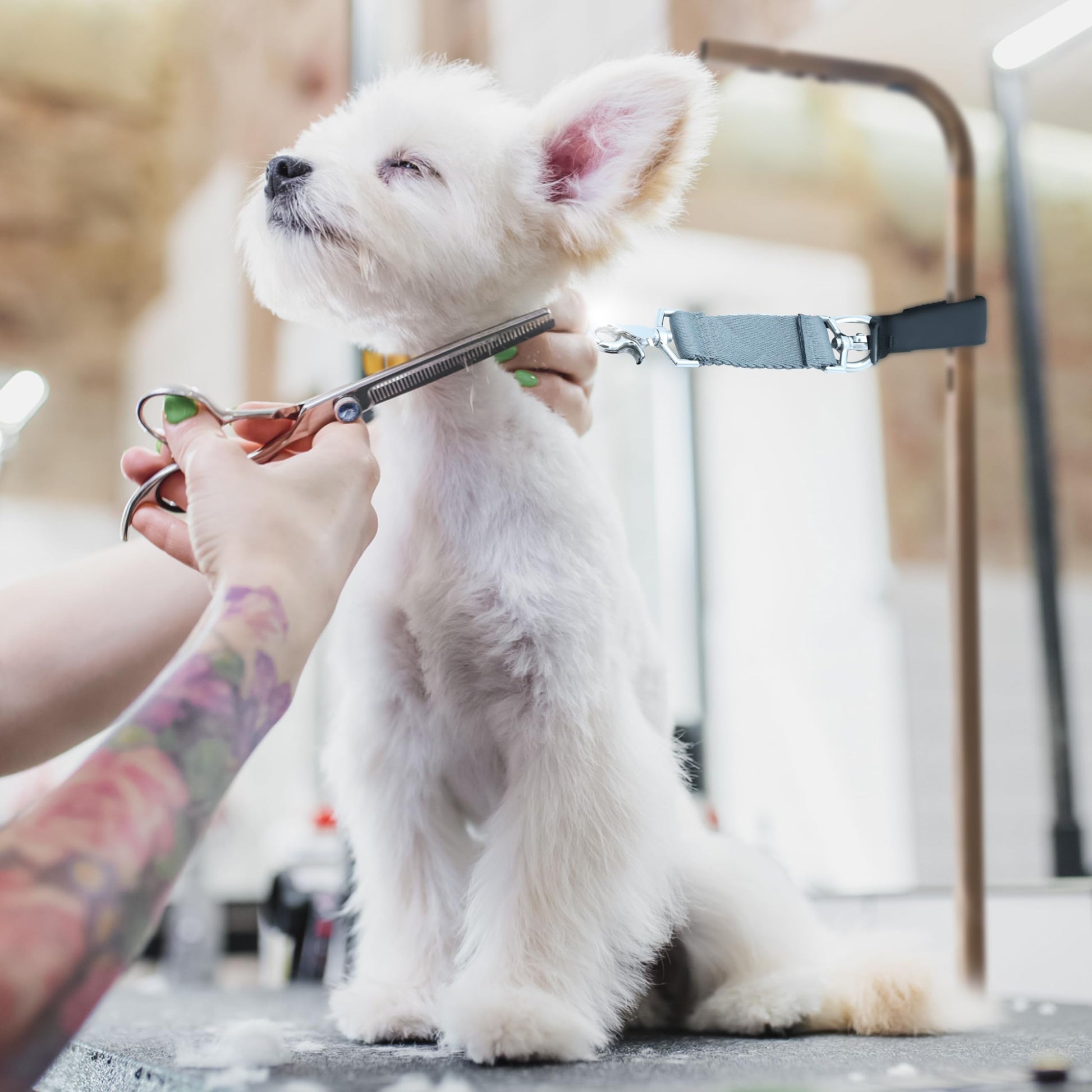 GROOMER ESSENTIALS Accesorio para brazo de aseo