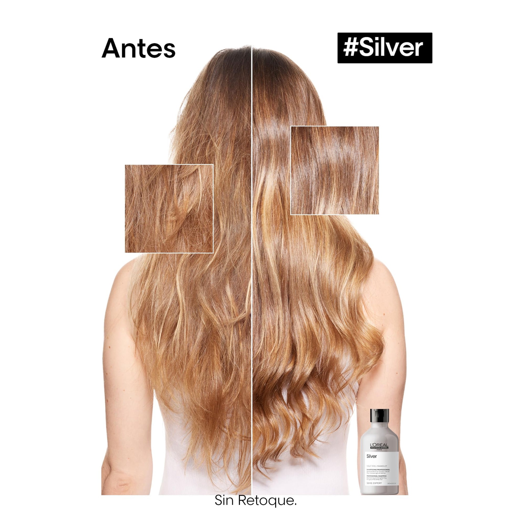 L'Oréal Professionnel Silver | Shampoo morado | Neutraliza los tonos amarillos no deseados| Para cabello gris, rubio, platinado y/o con canas | Con pigmentos morados| 300ml
