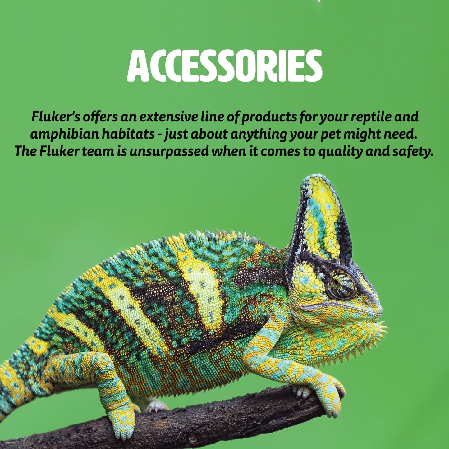 Tazón Esquinero para Reptiles Fluker's Medio para Alimentos y Agua