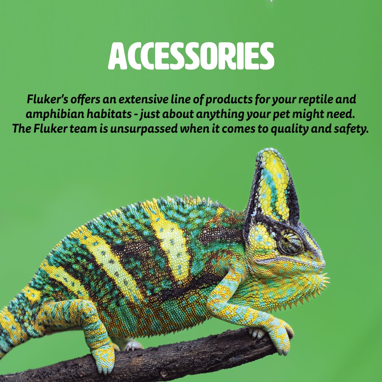 Tazón Esquinero para Reptiles Fluker's Medio para Alimentos y Agua